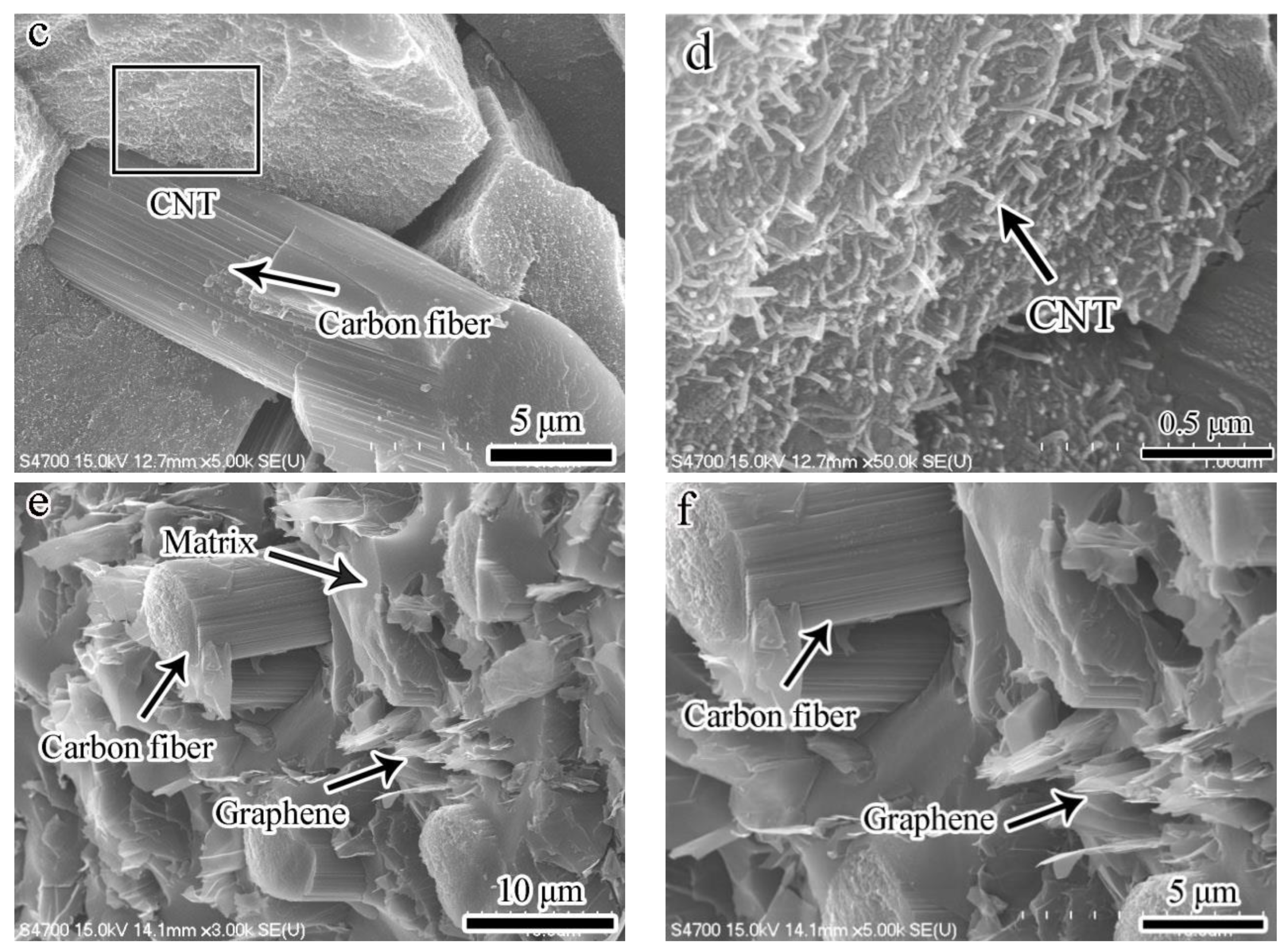 Nanomaterials 13 02686 g004b Nanomaterials 13 02686 g004b