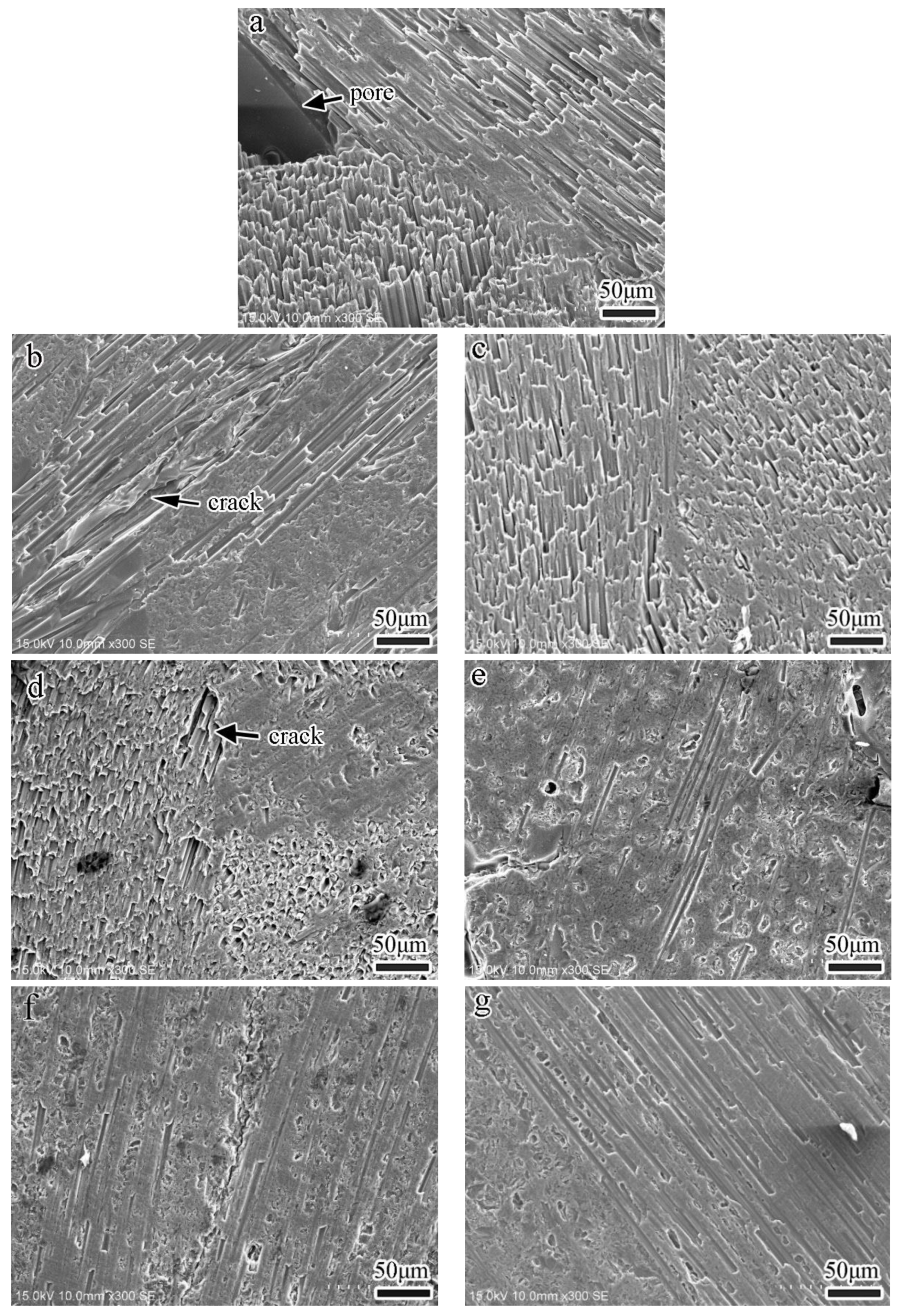 Nanomaterials 13 02686 g006 Nanomaterials 13 02686 g006