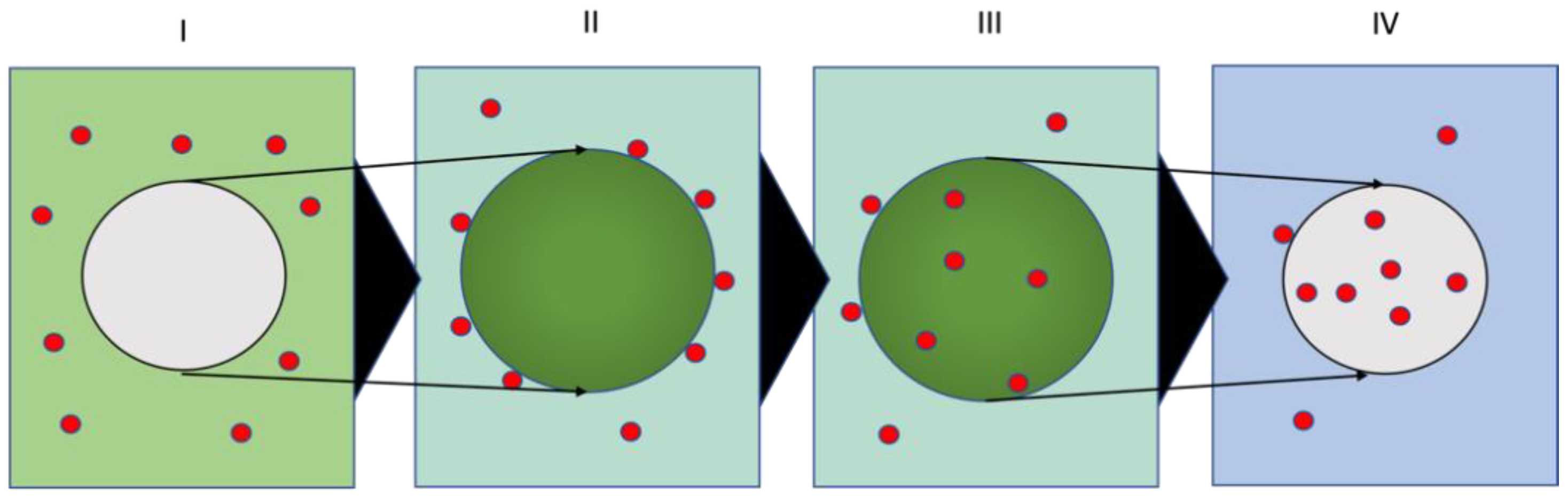 Nanomaterials 13 02687 g001
