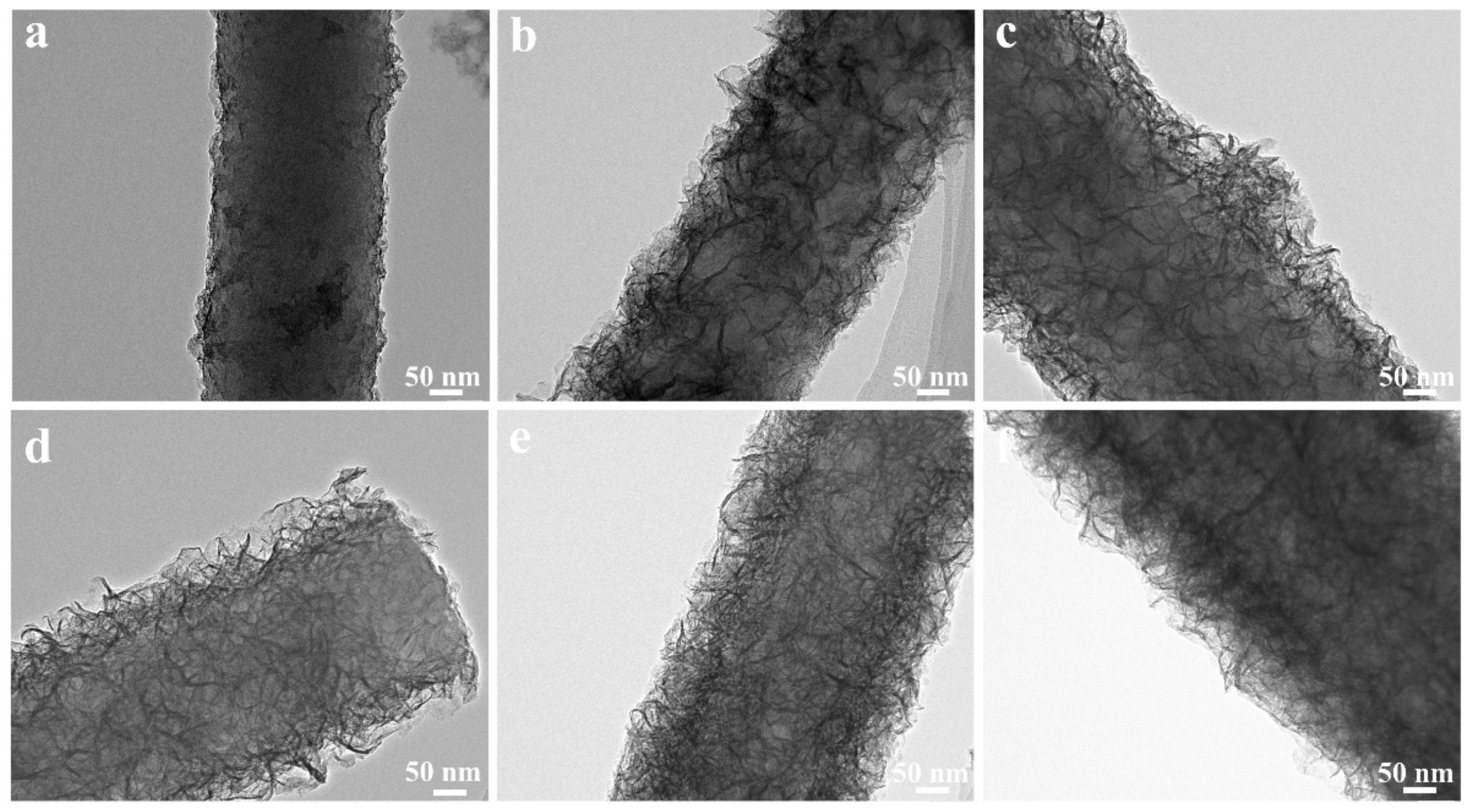 Nanomaterials 13 02689 g003