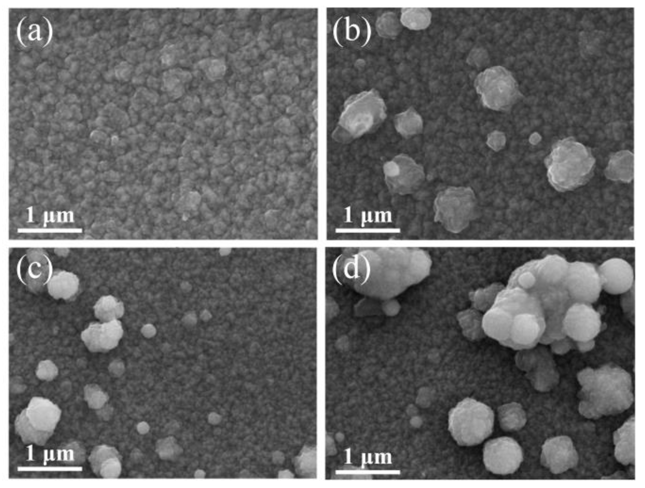 Nanomaterials 13 02691 g002