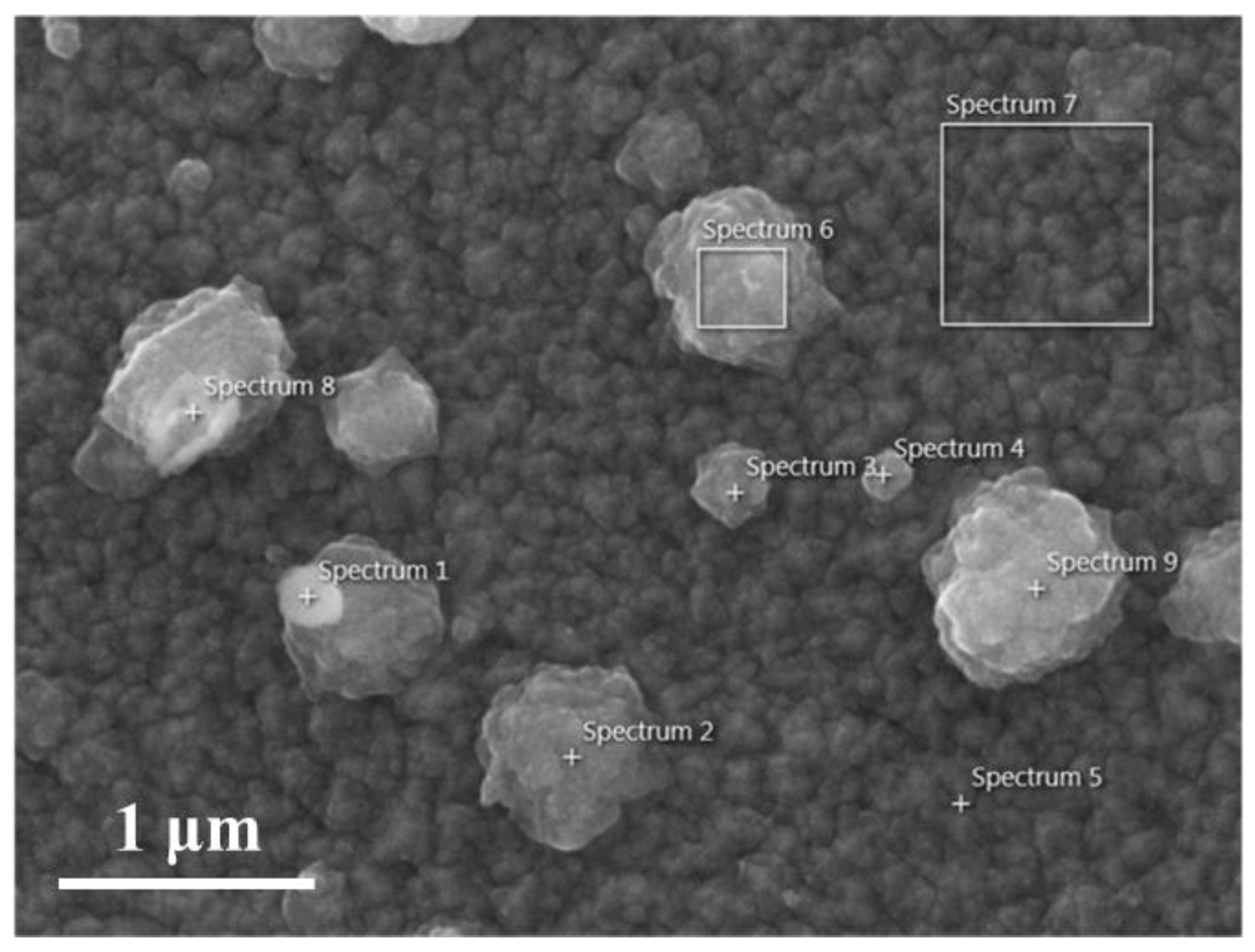 Nanomaterials 13 02691 g004