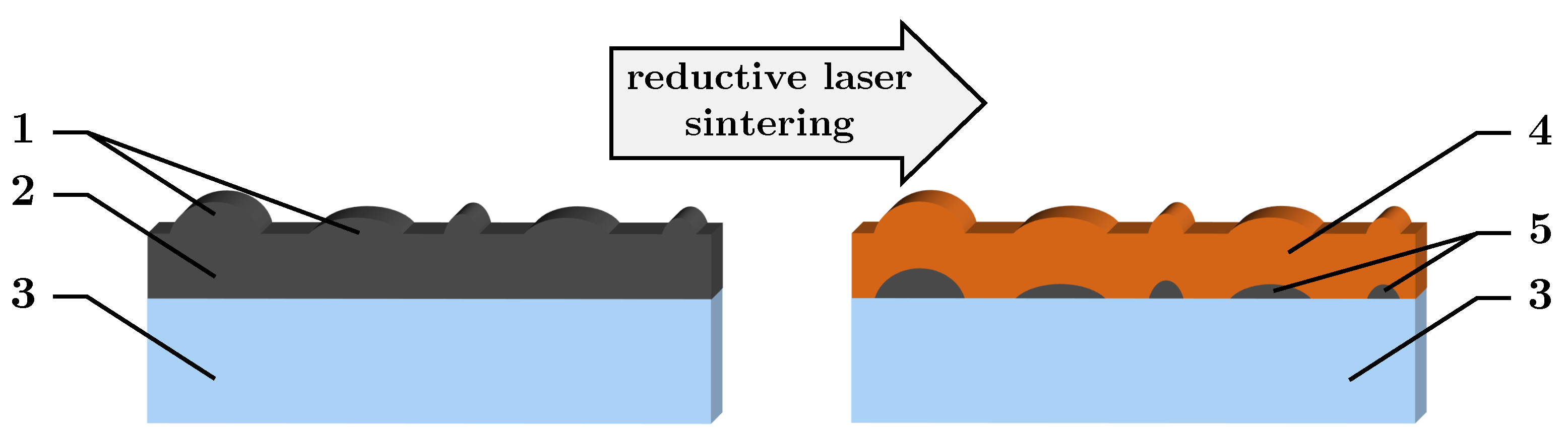 Nanomaterials 13 02693 g001