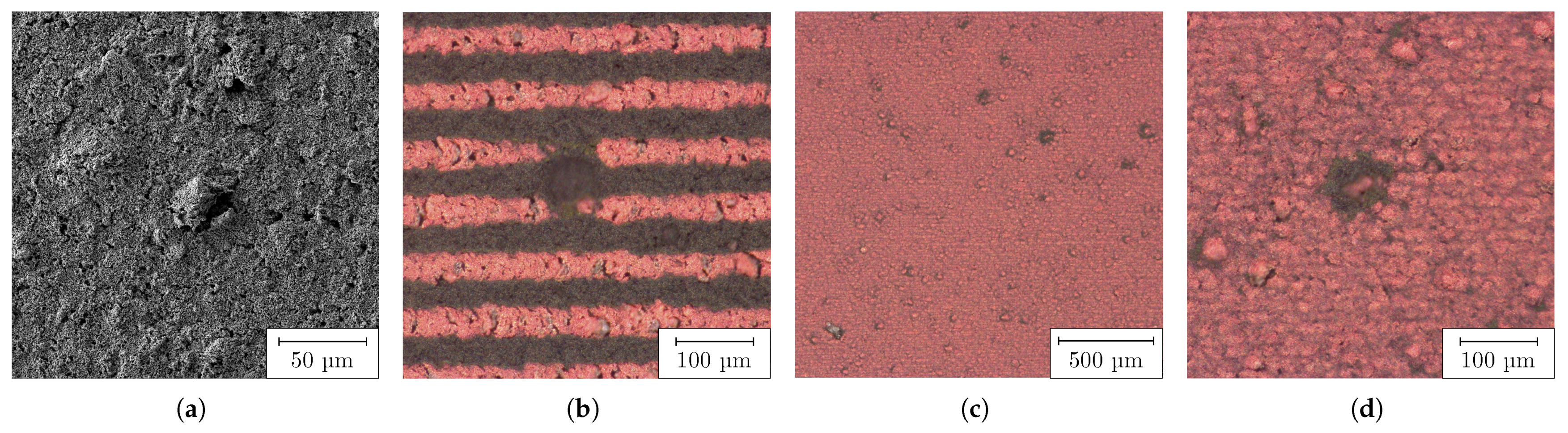 Nanomaterials 13 02693 g006
