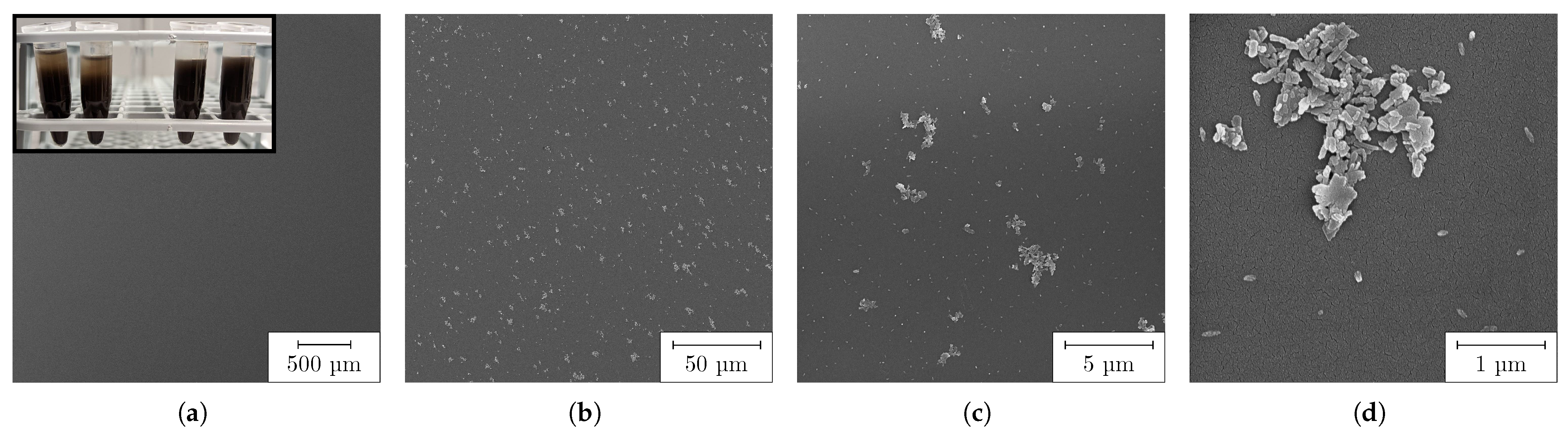 Nanomaterials 13 02693 g009