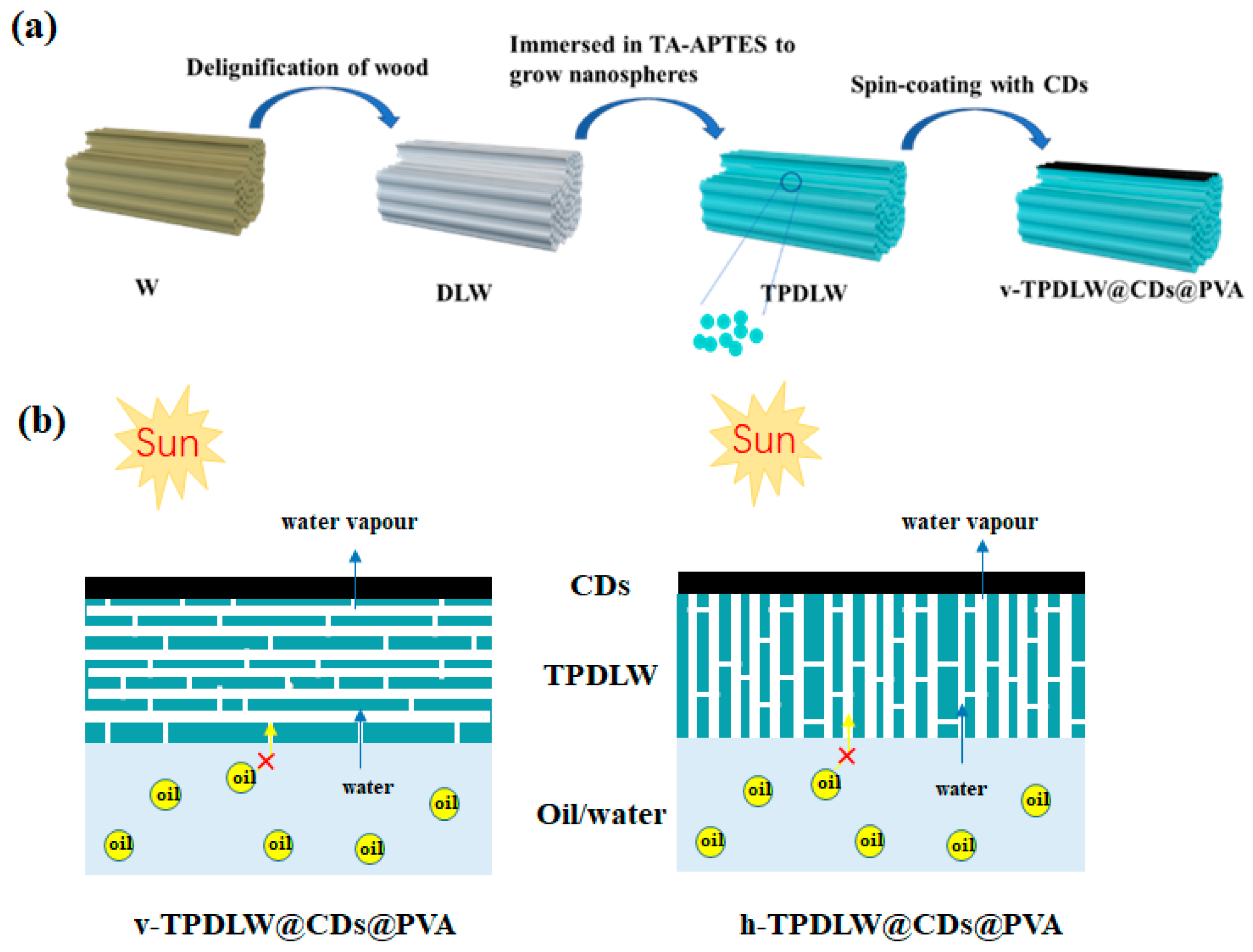 Nanomaterials 13 02696 g001