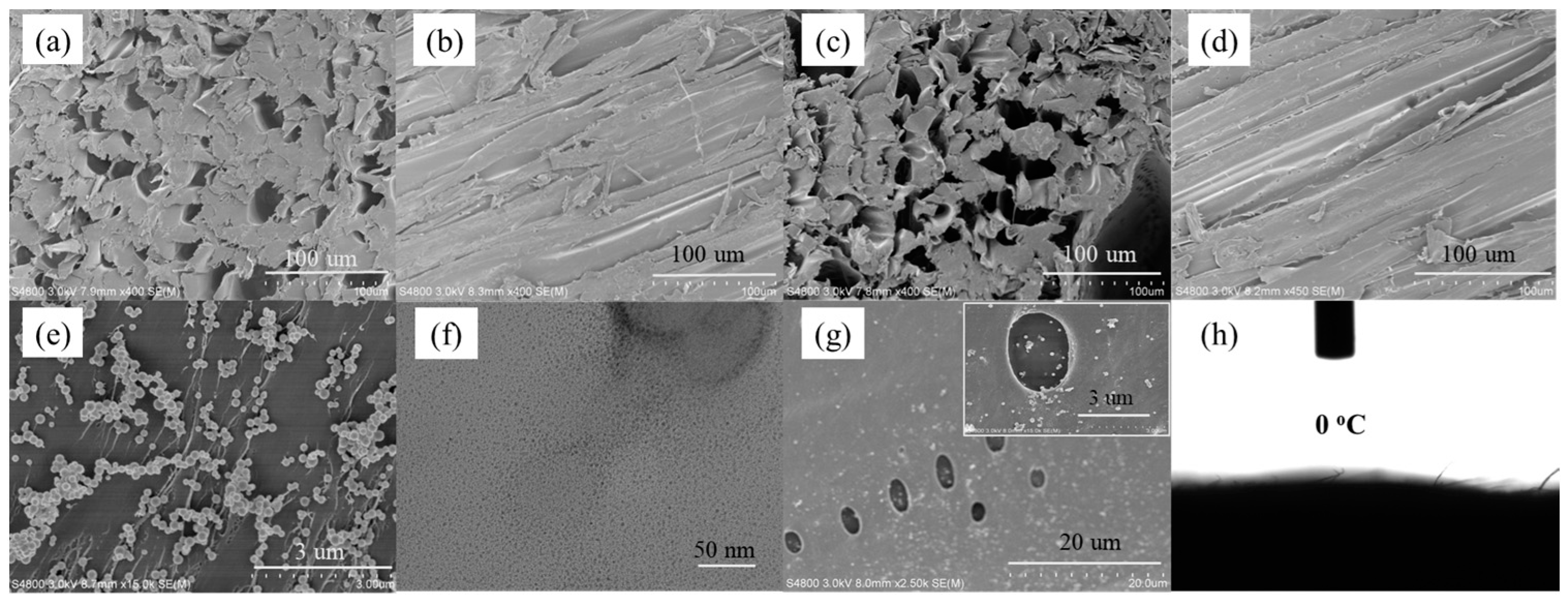 Nanomaterials 13 02696 g002
