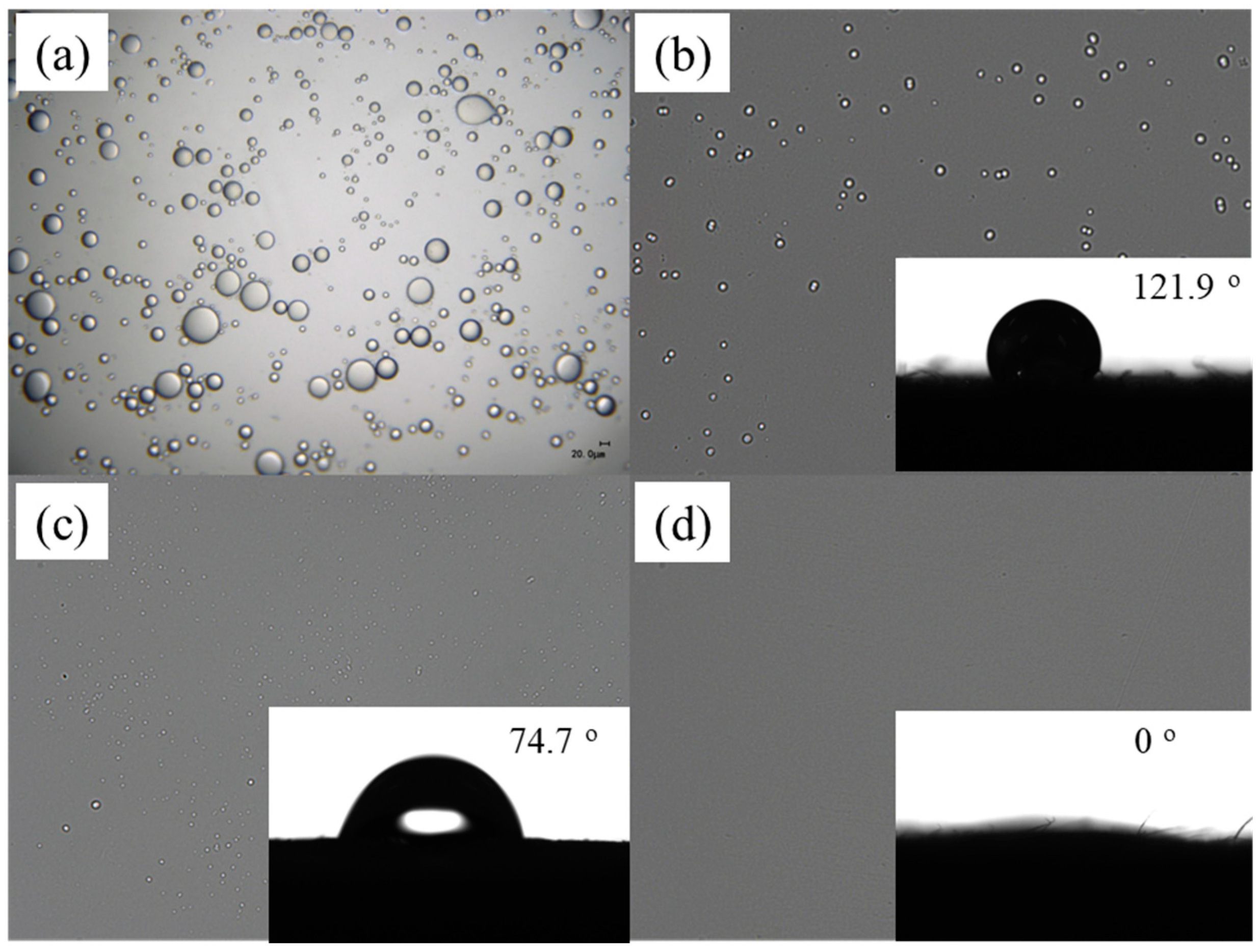 Nanomaterials 13 02696 g005