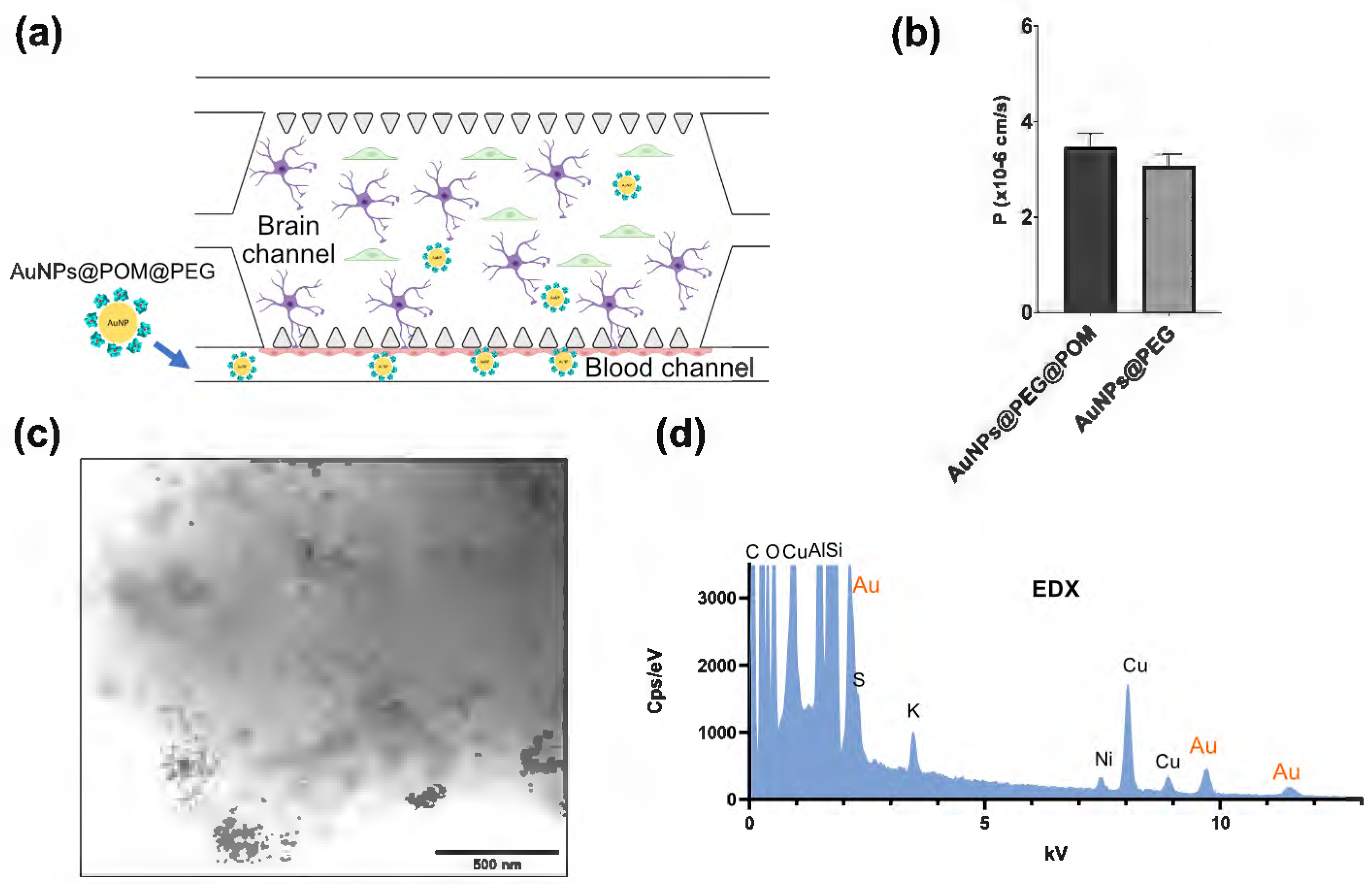 Nanomaterials 13 02697 g004