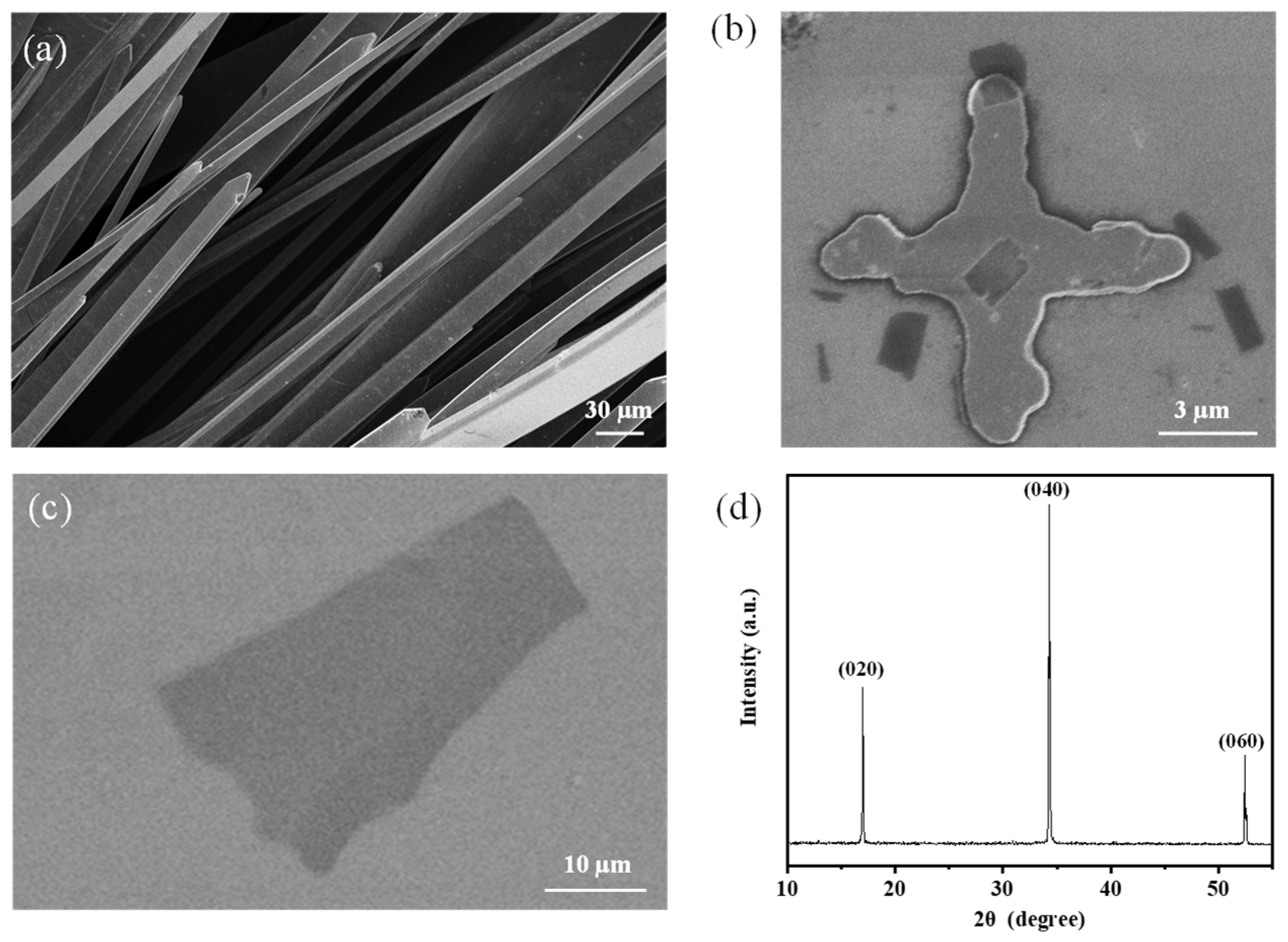 Nanomaterials 13 02700 g001
