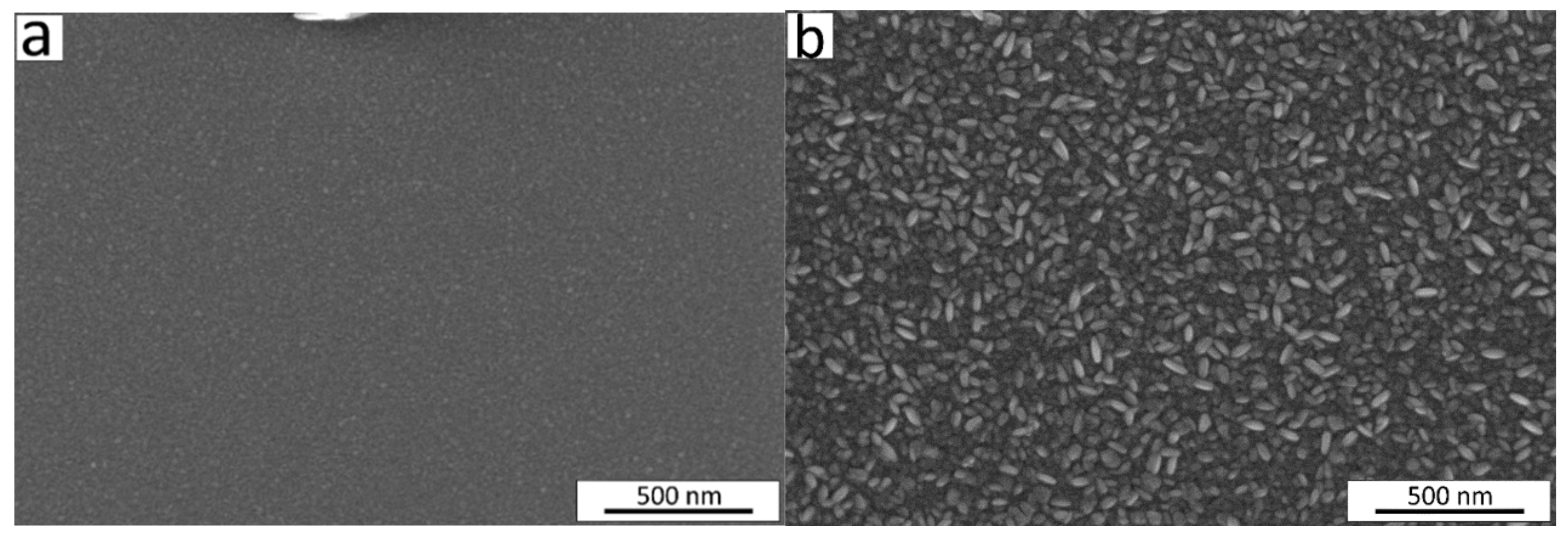 Nanomaterials 13 02702 g004