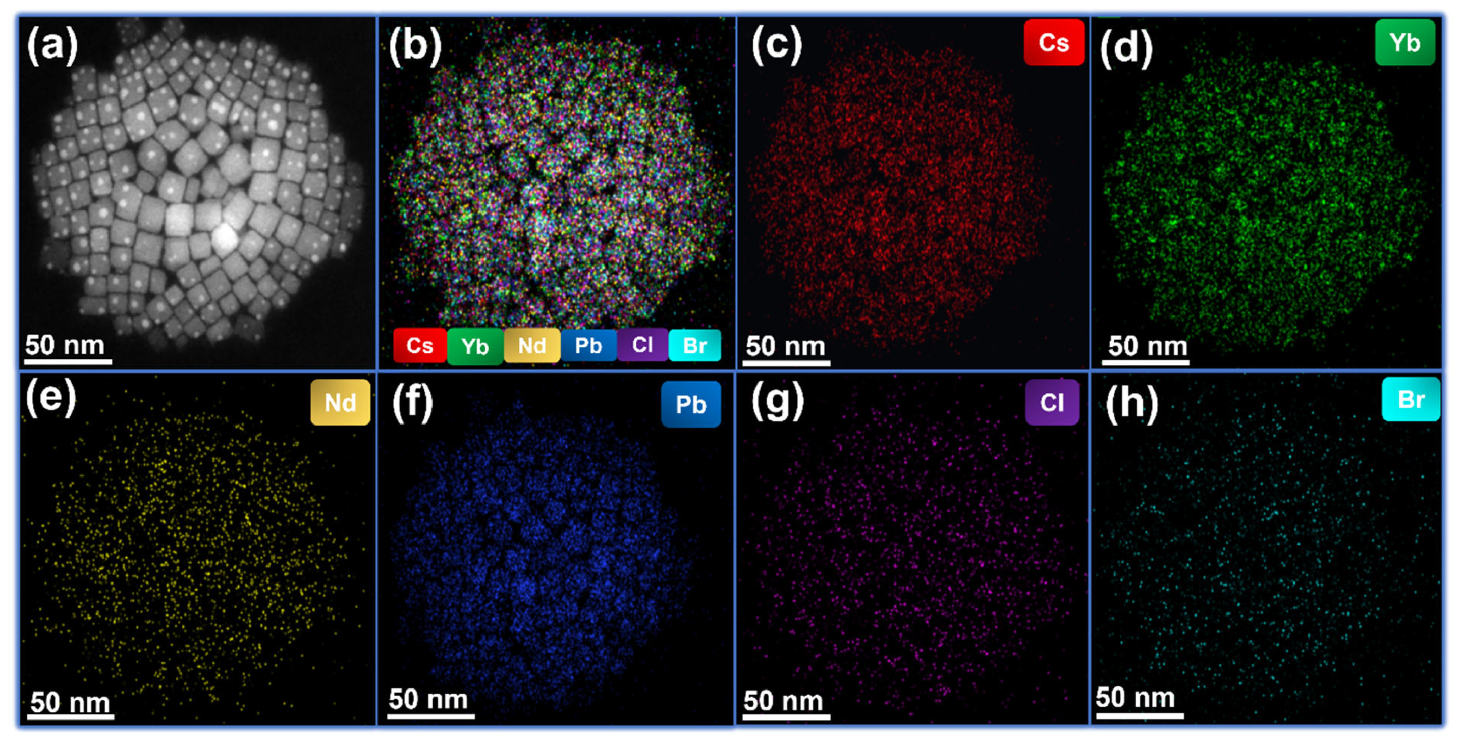 Nanomaterials 13 02703 g003