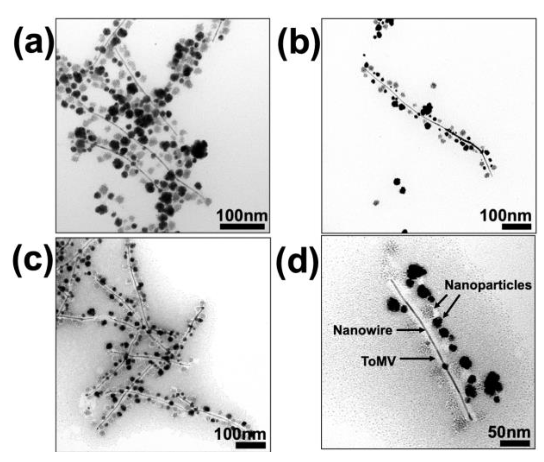Nanomaterials 13 02705 g001
