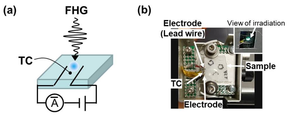 Nanomaterials 13 02706 g001