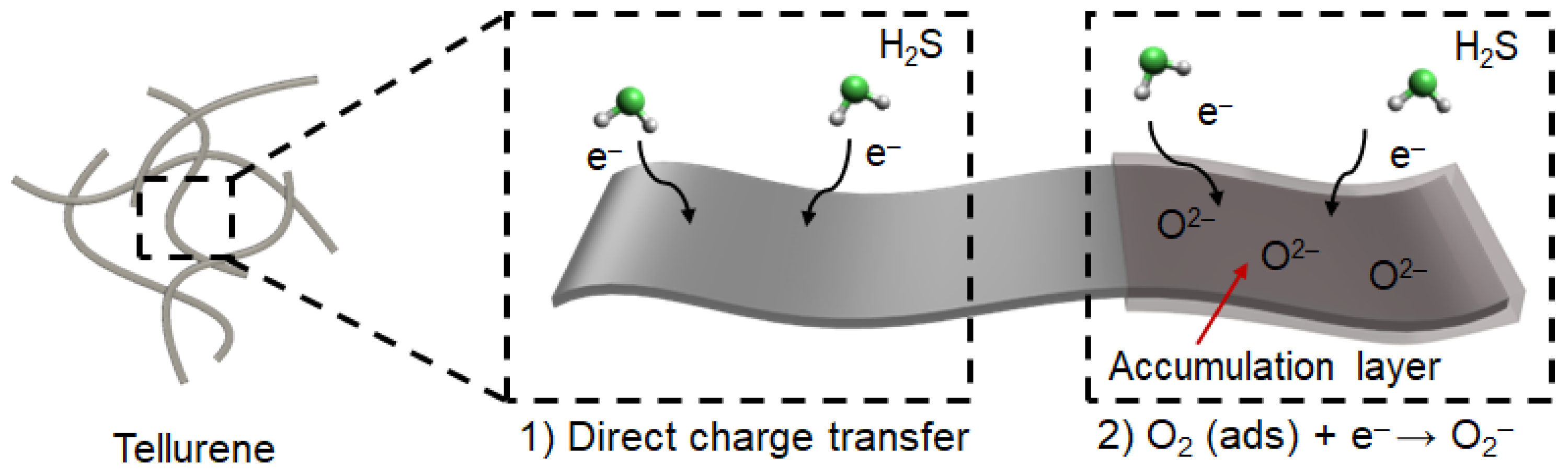 Nanomaterials 13 02707 g006