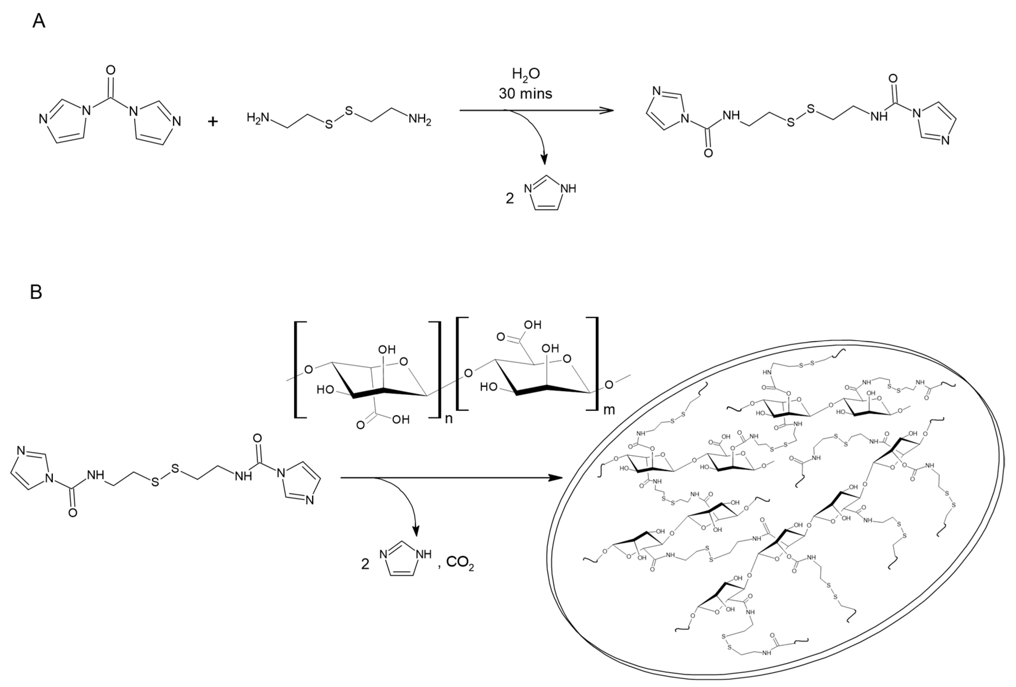 Nanomaterials 13 02709 g001