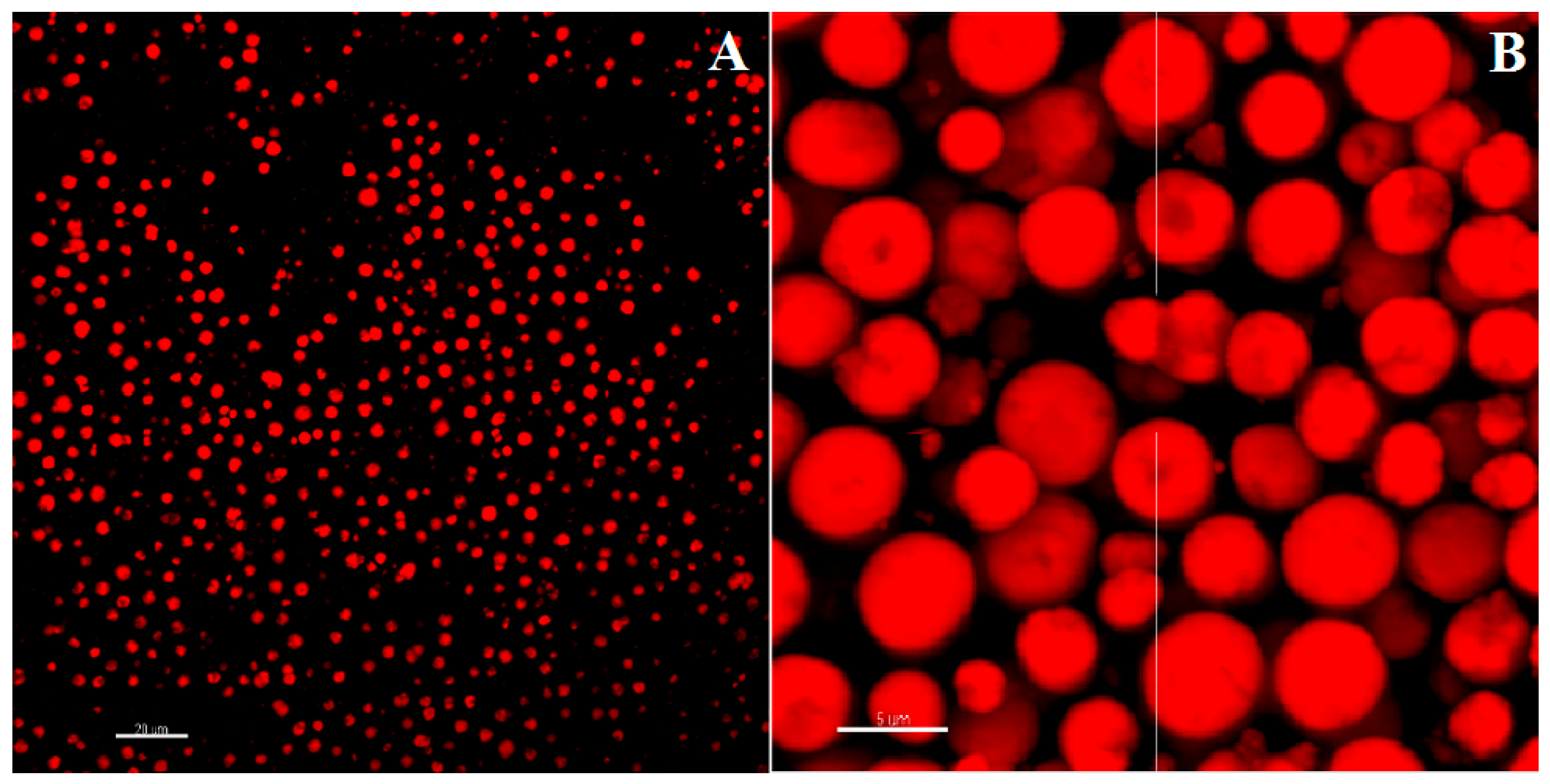 Nanomaterials 13 02709 g003