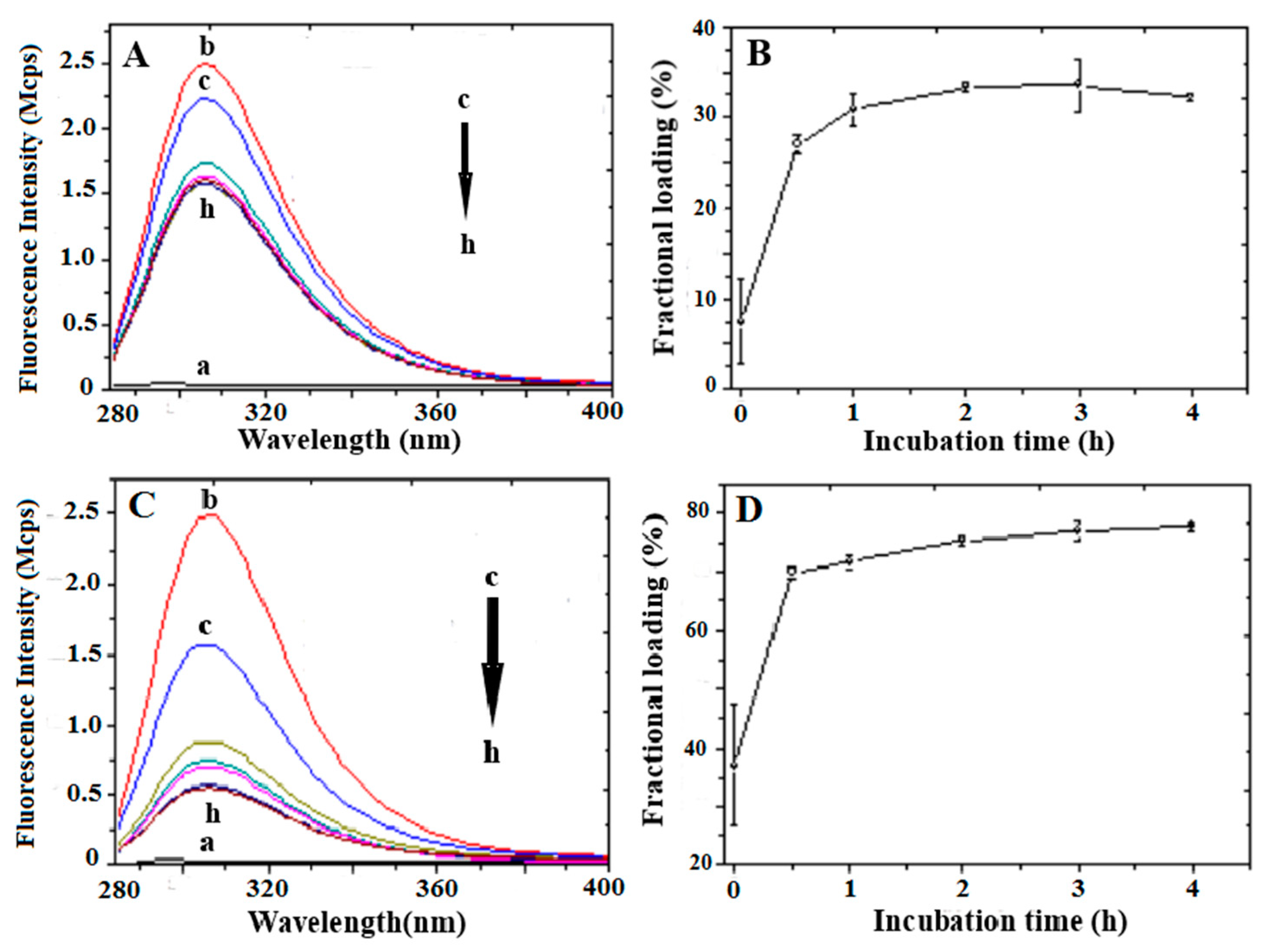Nanomaterials 13 02709 g005