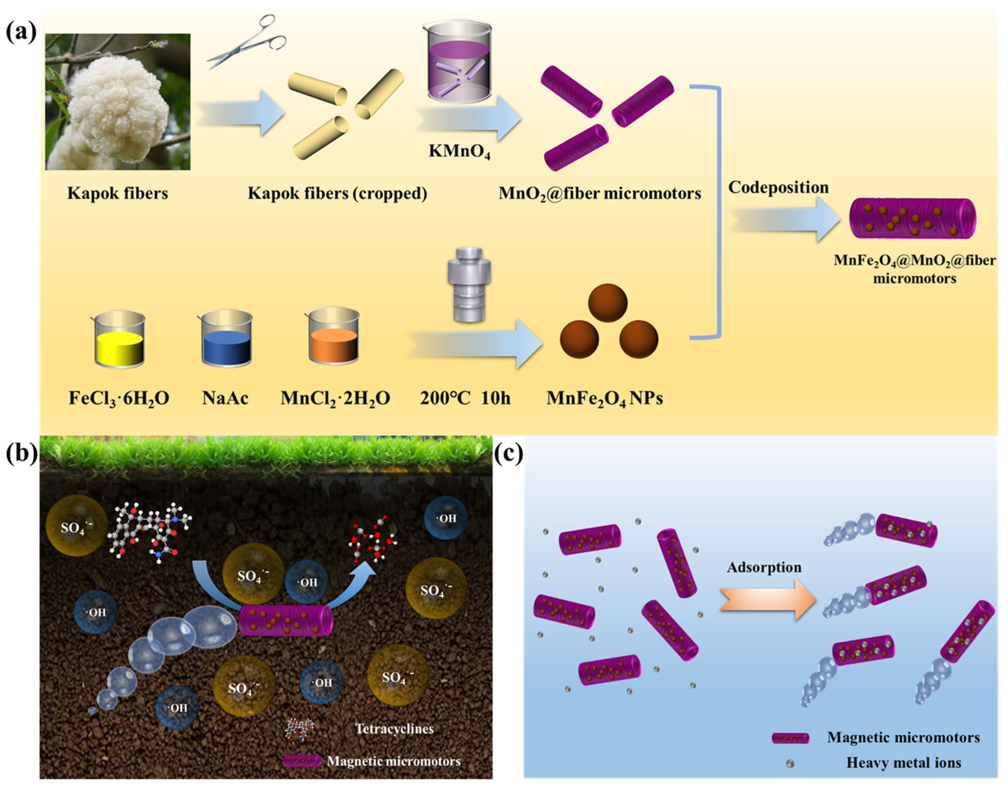 Nanomaterials 13 02710 g001
