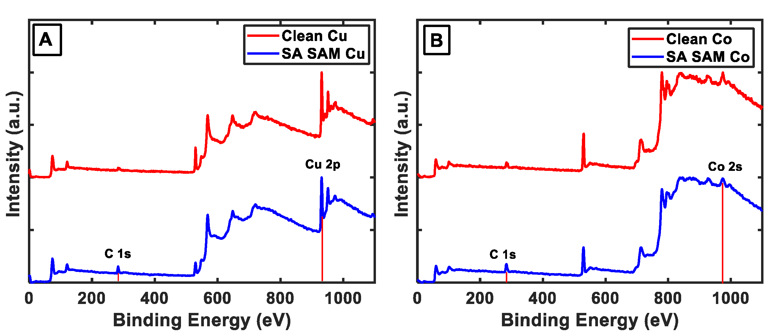 Nanomaterials 13 02713 g002