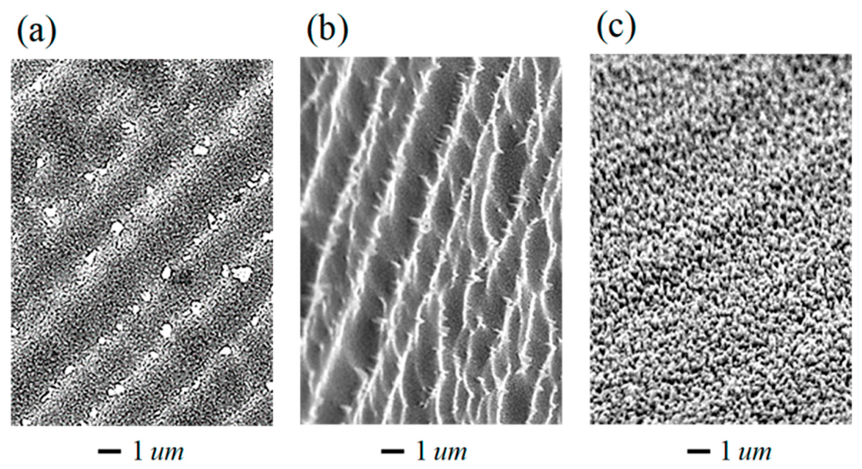 Nanomaterials 13 02715 g008 Nanomaterials 13 02715 g008