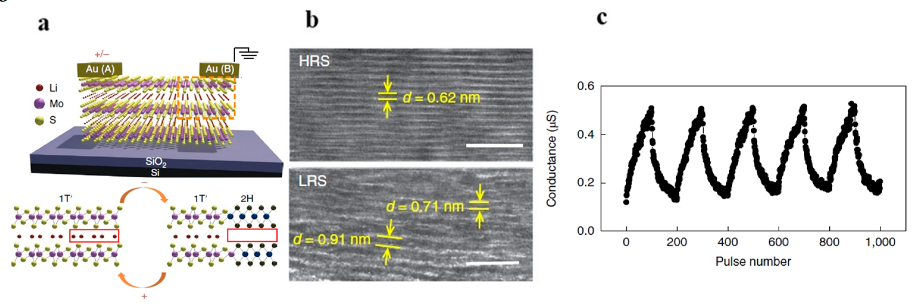 Nanomaterials 13 02720 g007