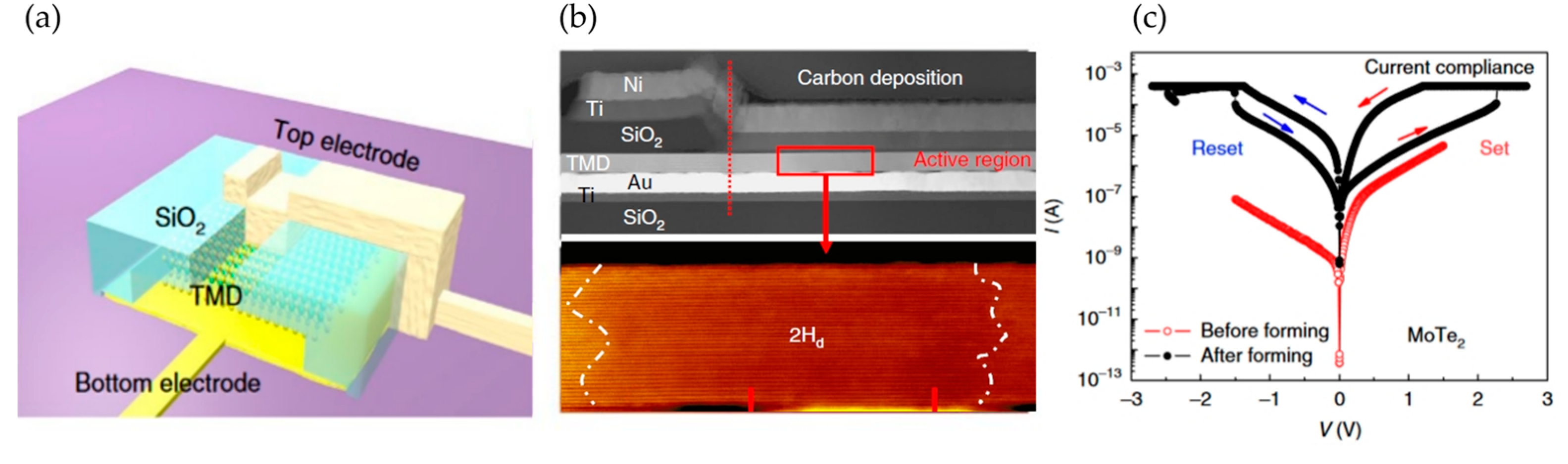 Nanomaterials 13 02720 g009