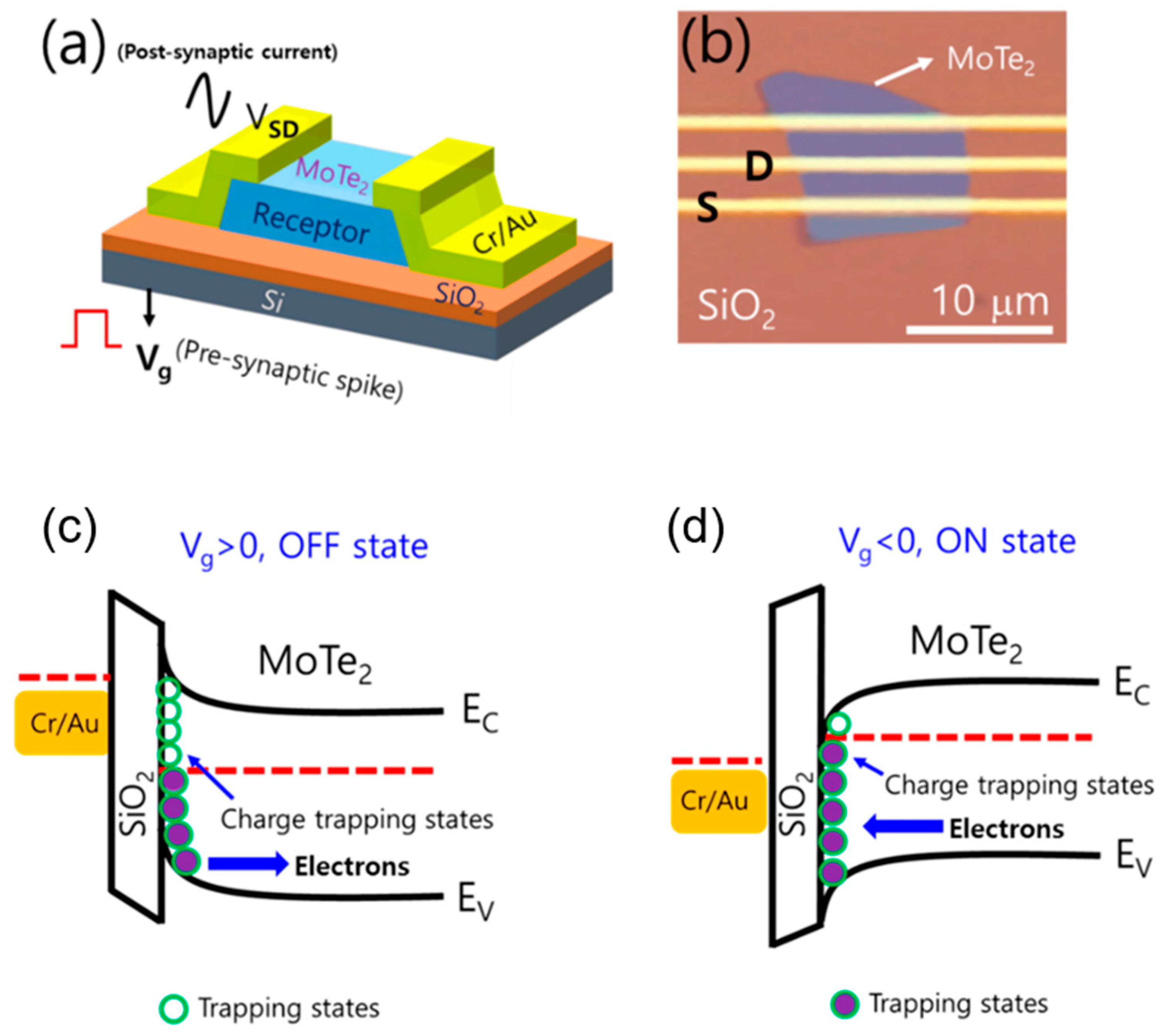 Nanomaterials 13 02720 g014