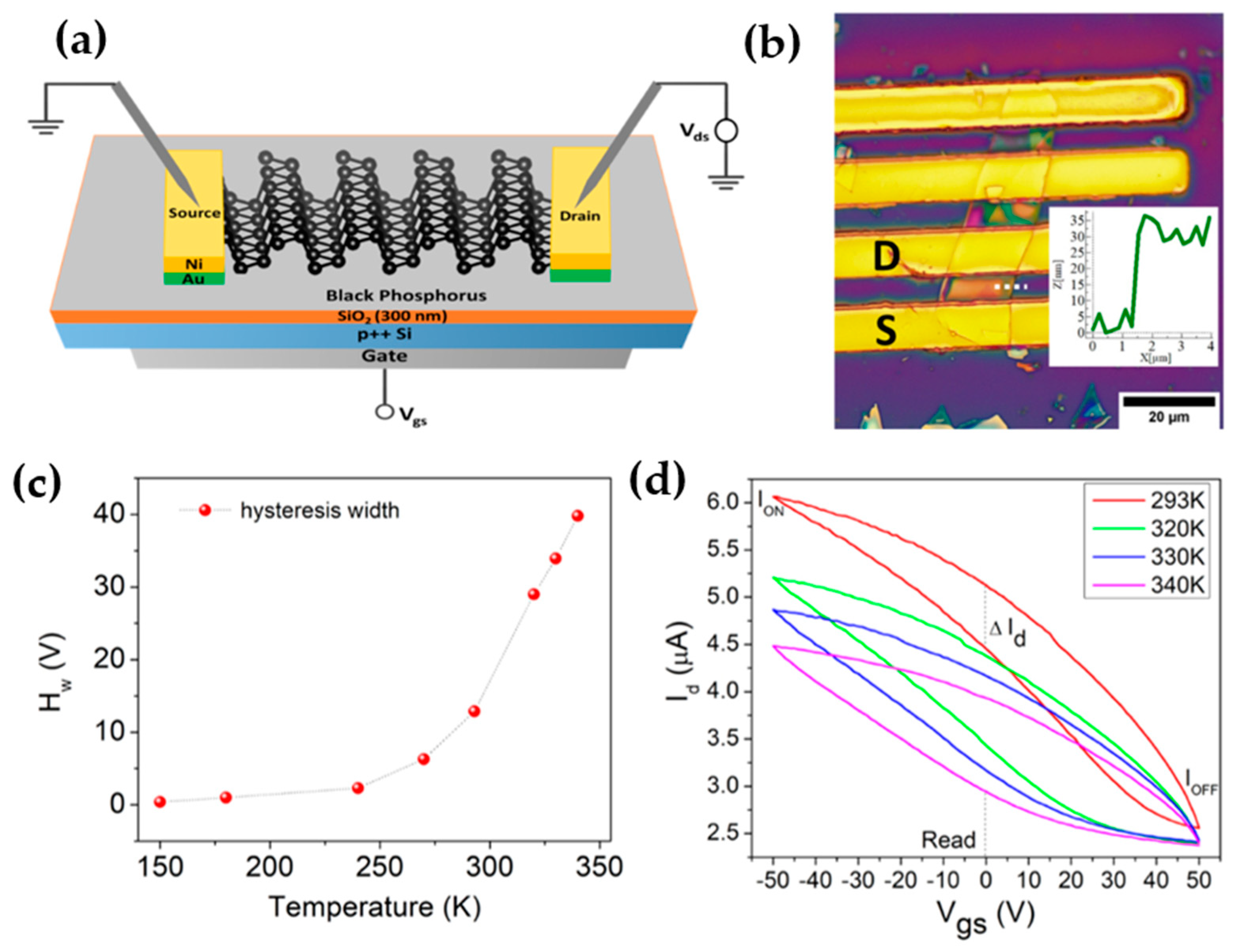 Nanomaterials 13 02720 g015
