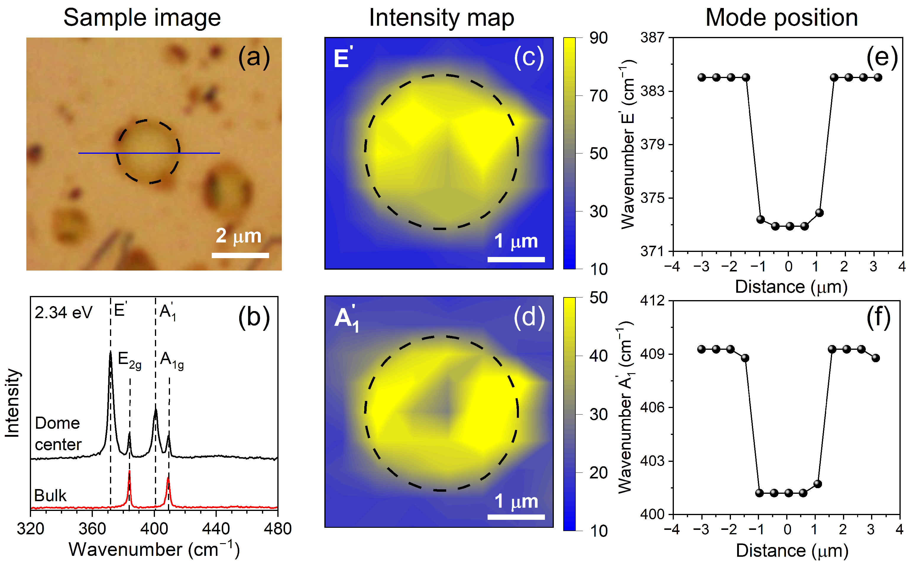 Nanomaterials 13 02722 g001