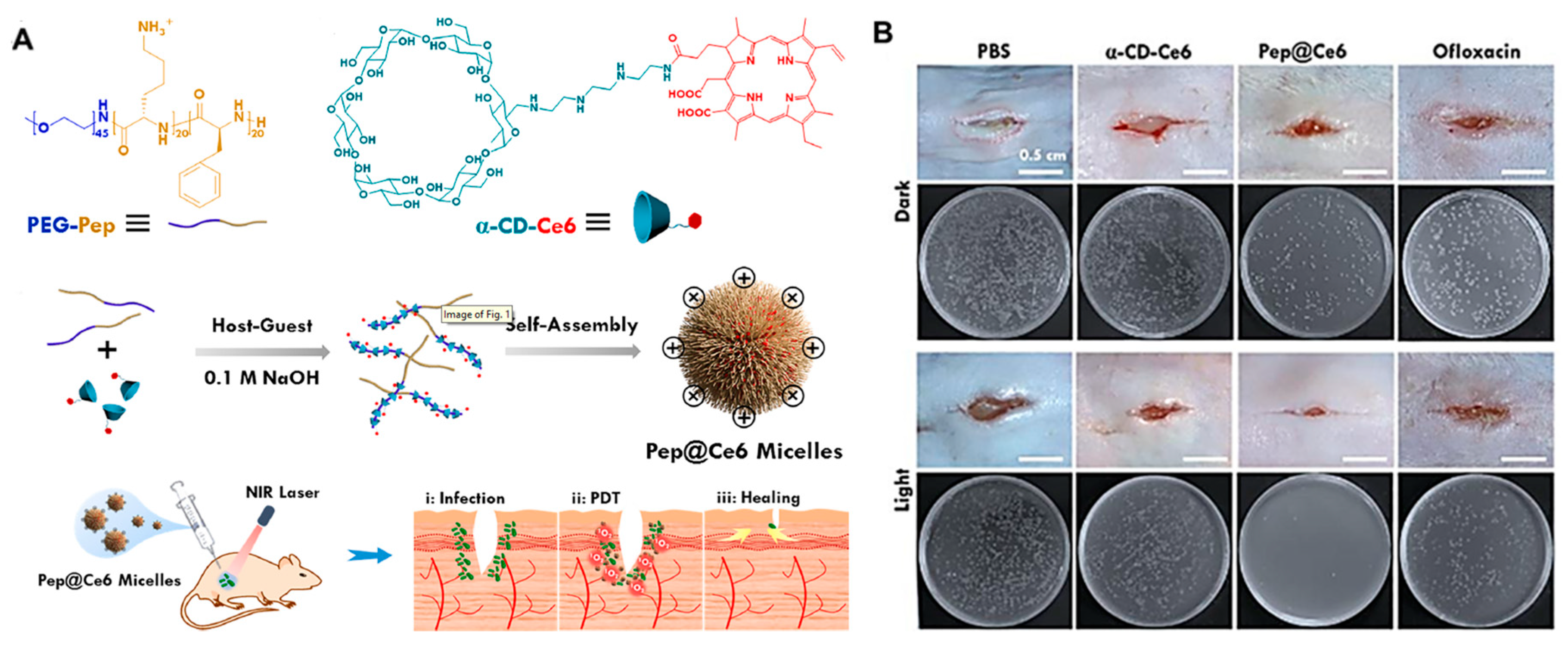Nanomaterials 13 02725 g001