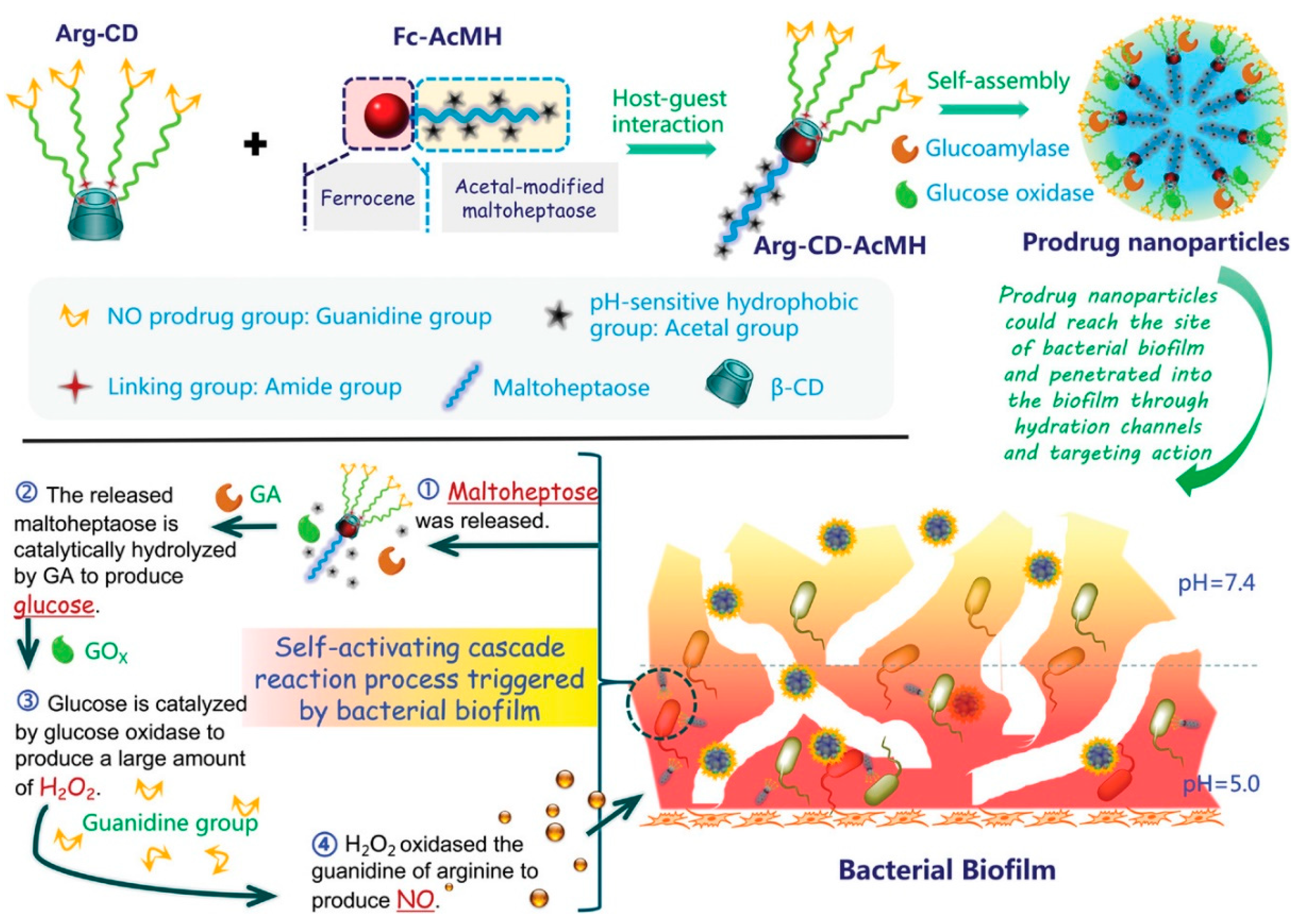 Nanomaterials 13 02725 g003