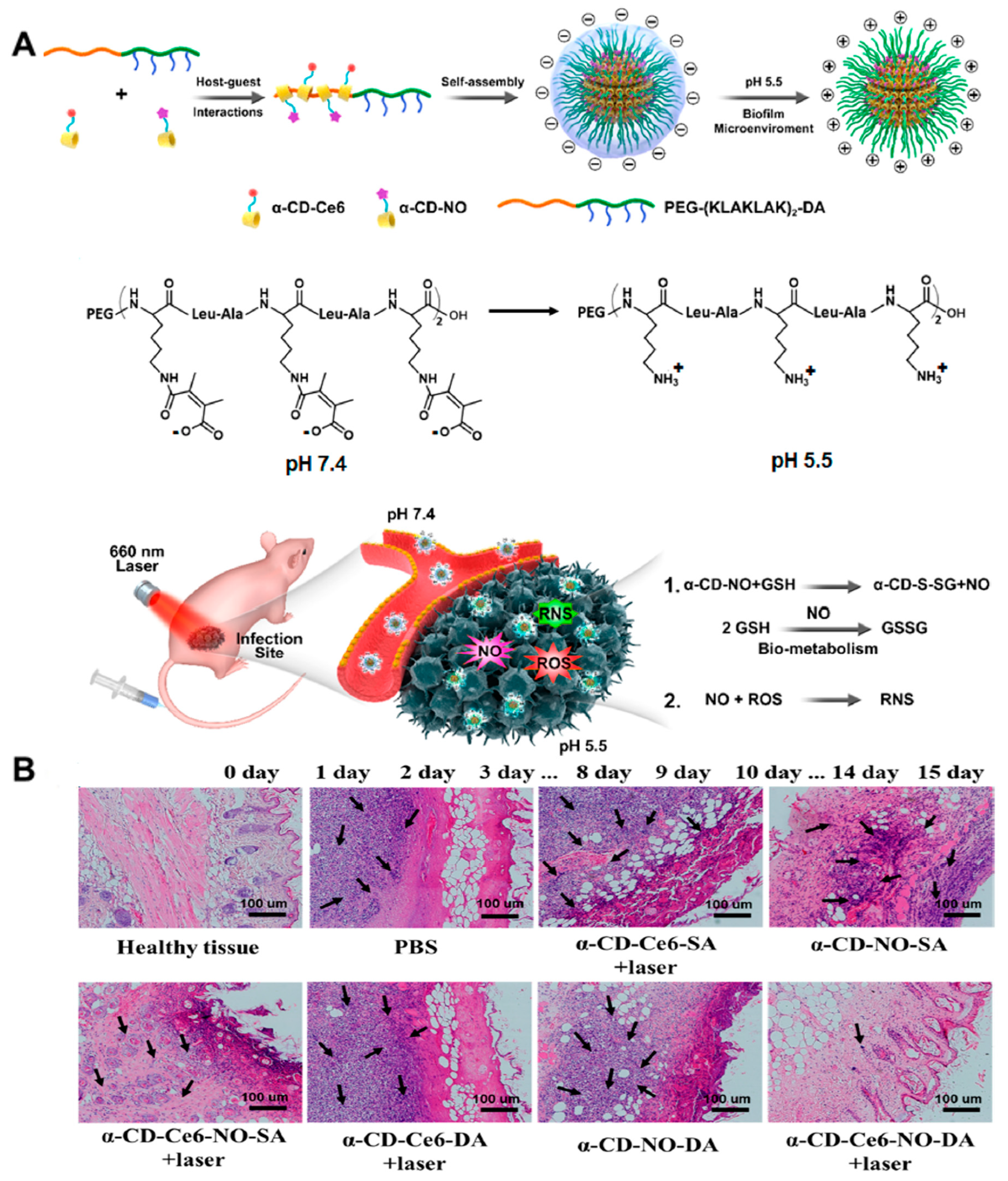 Nanomaterials 13 02725 g004
