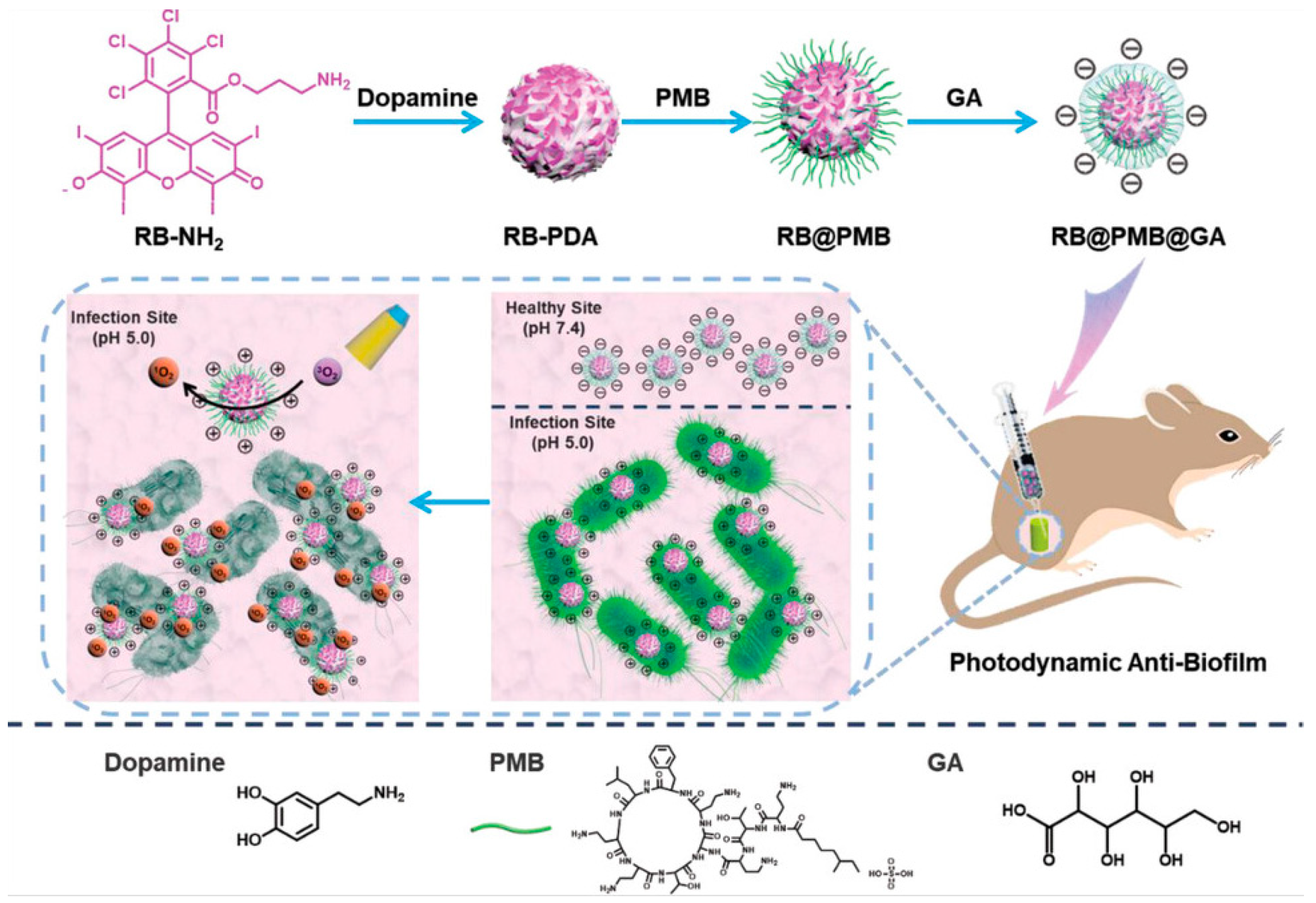 Nanomaterials 13 02725 g006