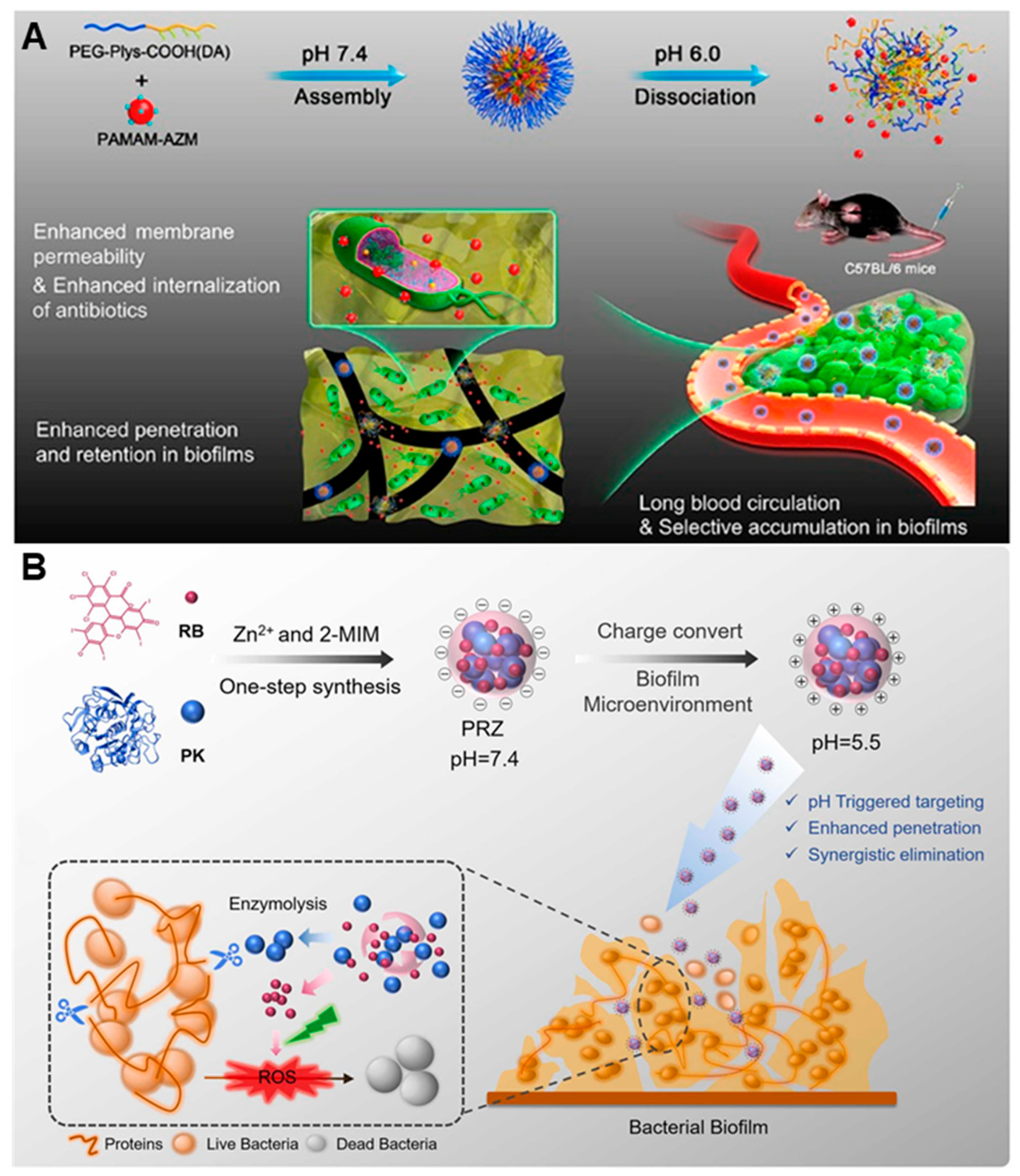 Nanomaterials 13 02725 g007