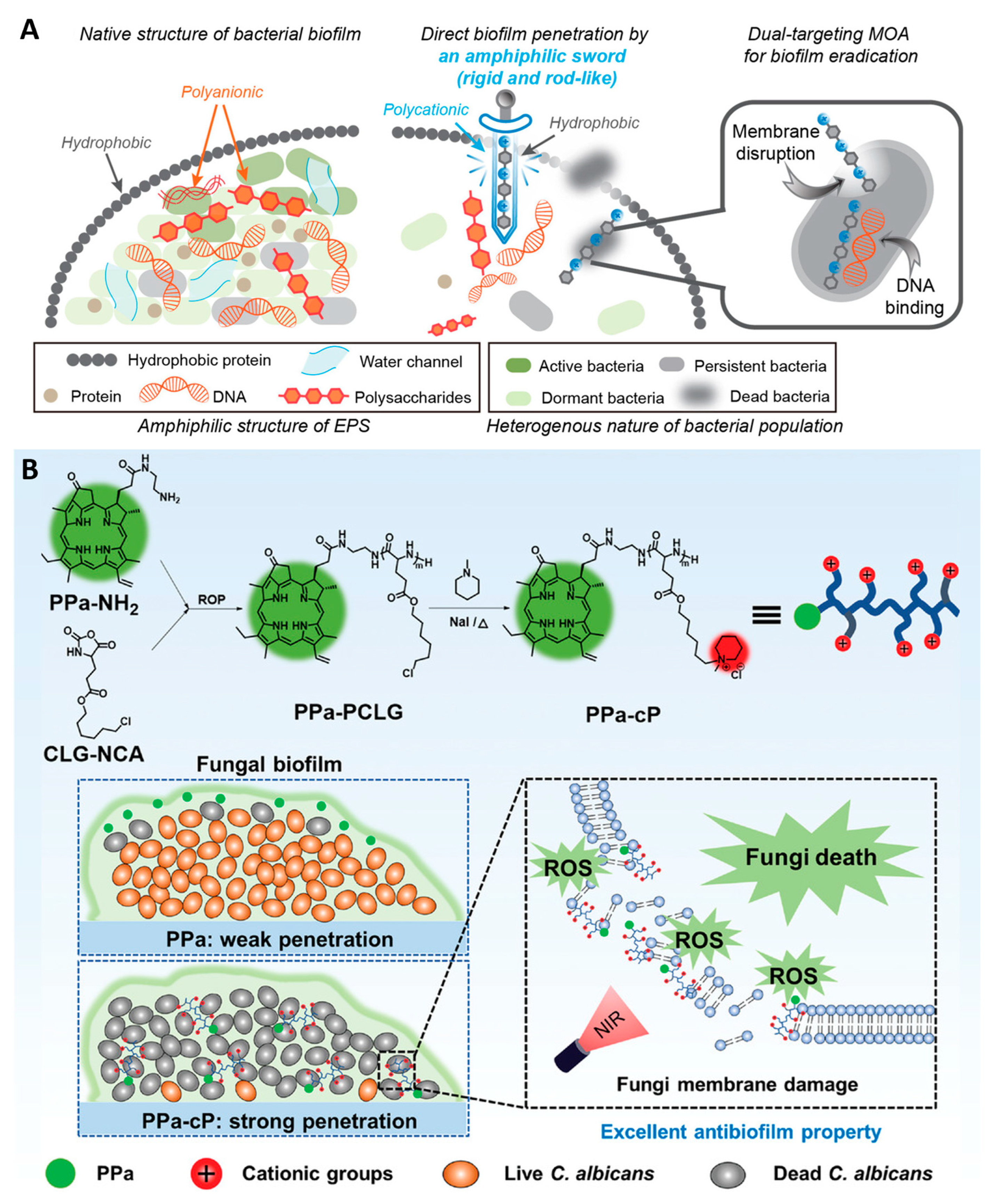Nanomaterials 13 02725 g010