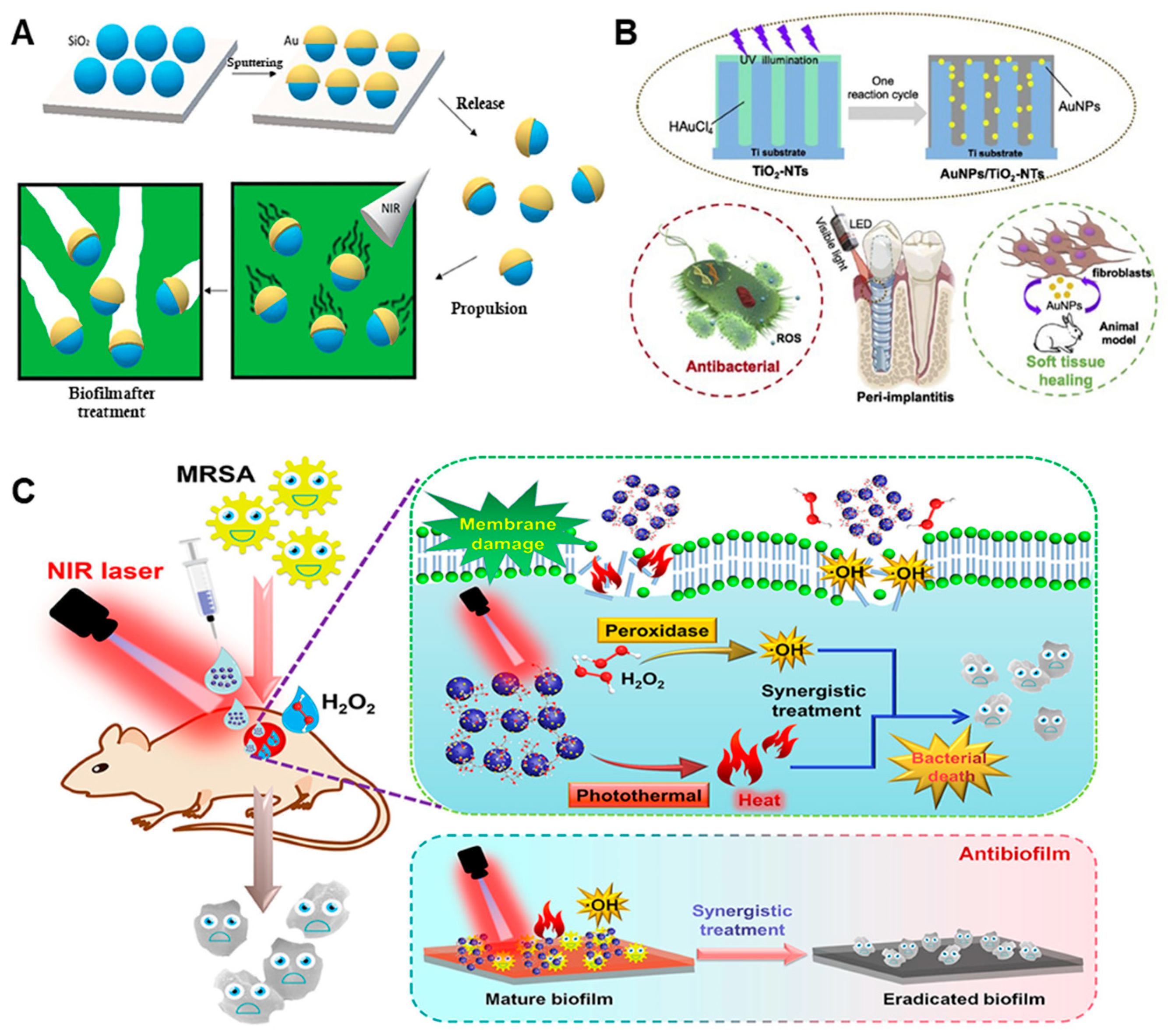 Nanomaterials 13 02725 g011