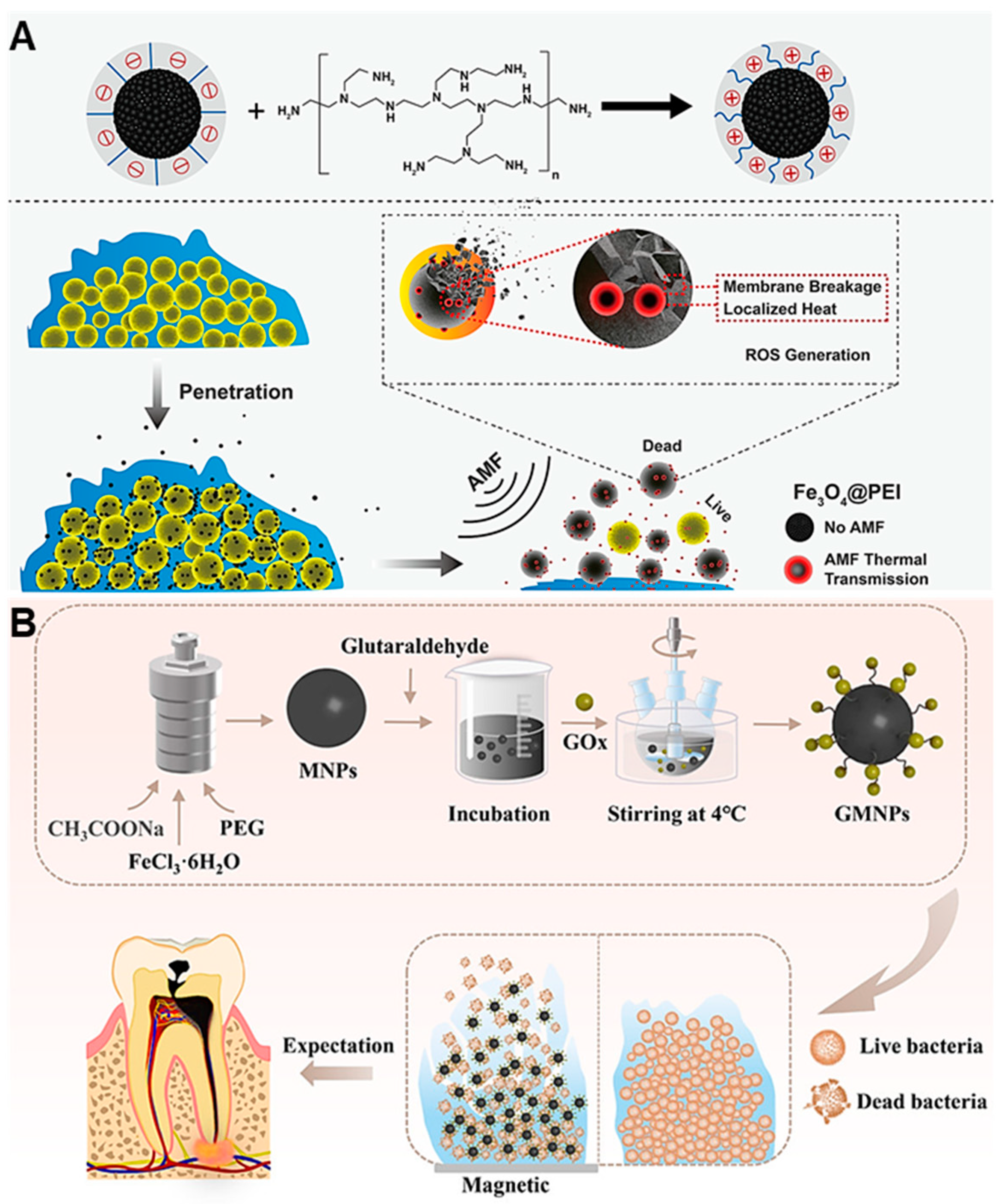 Nanomaterials 13 02725 g013