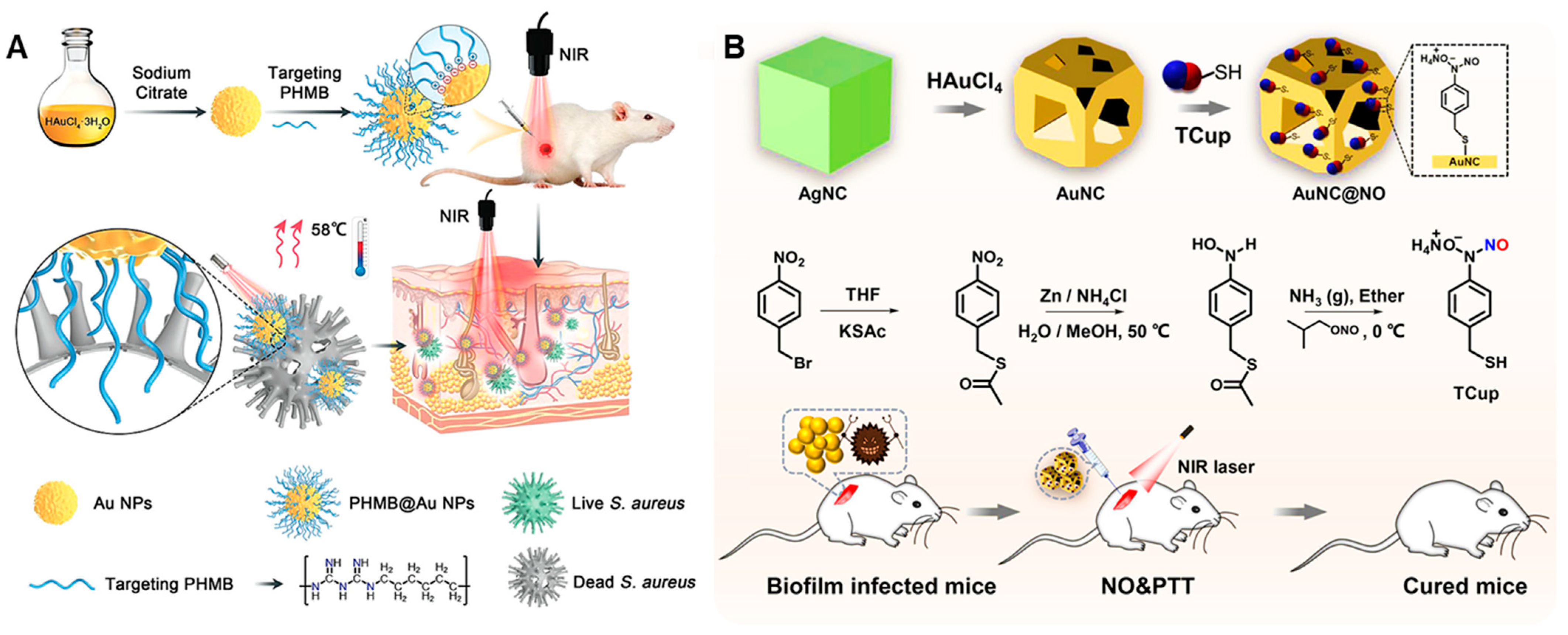 Nanomaterials 13 02725 g014