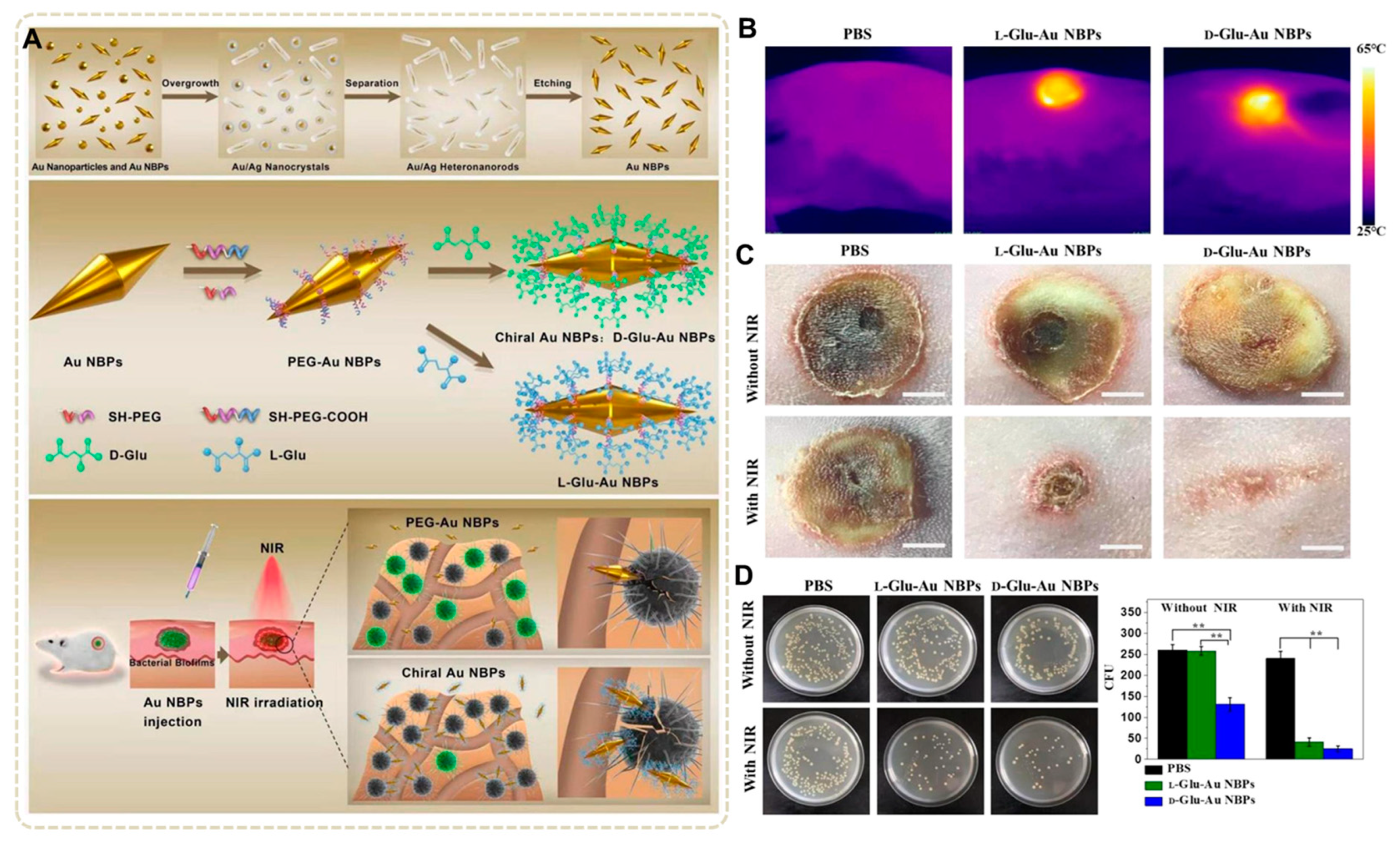 Nanomaterials 13 02725 g015