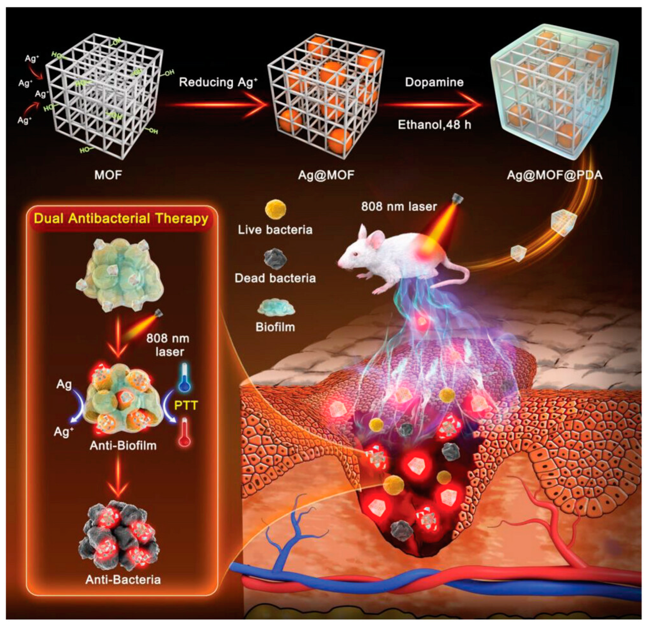 Nanomaterials 13 02725 g016