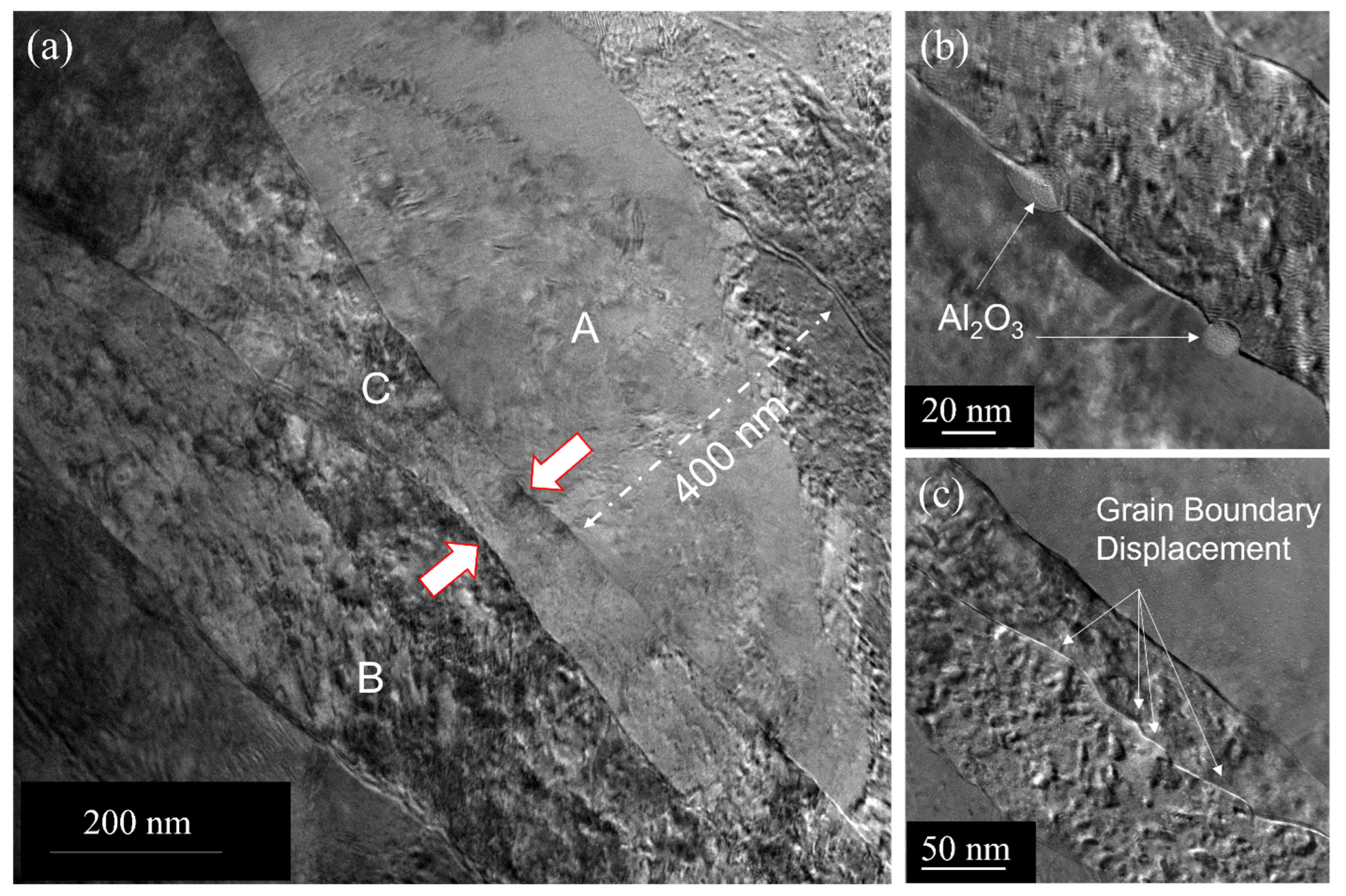 Nanomaterials 13 02727 g006