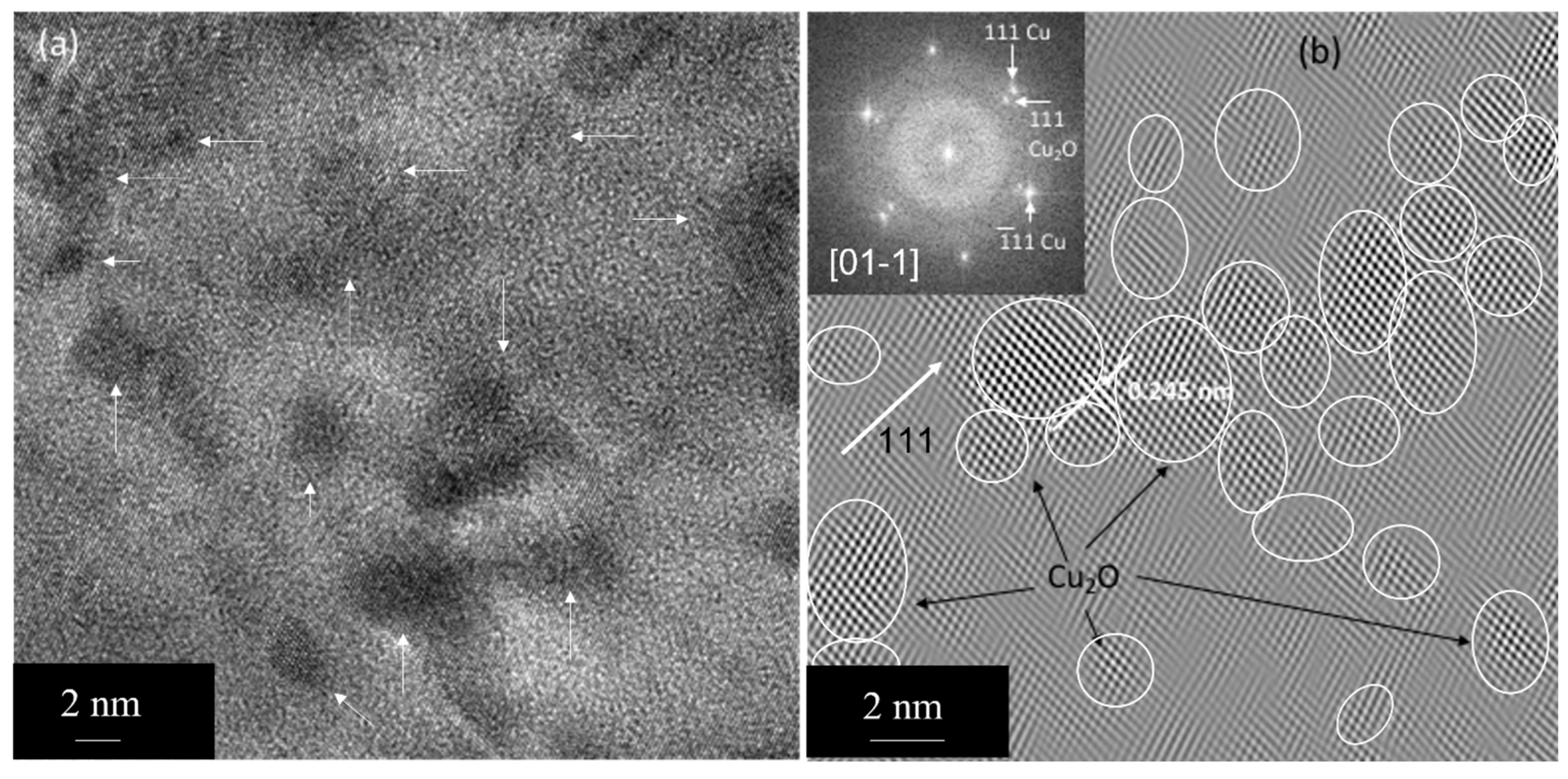 Nanomaterials 13 02727 g010