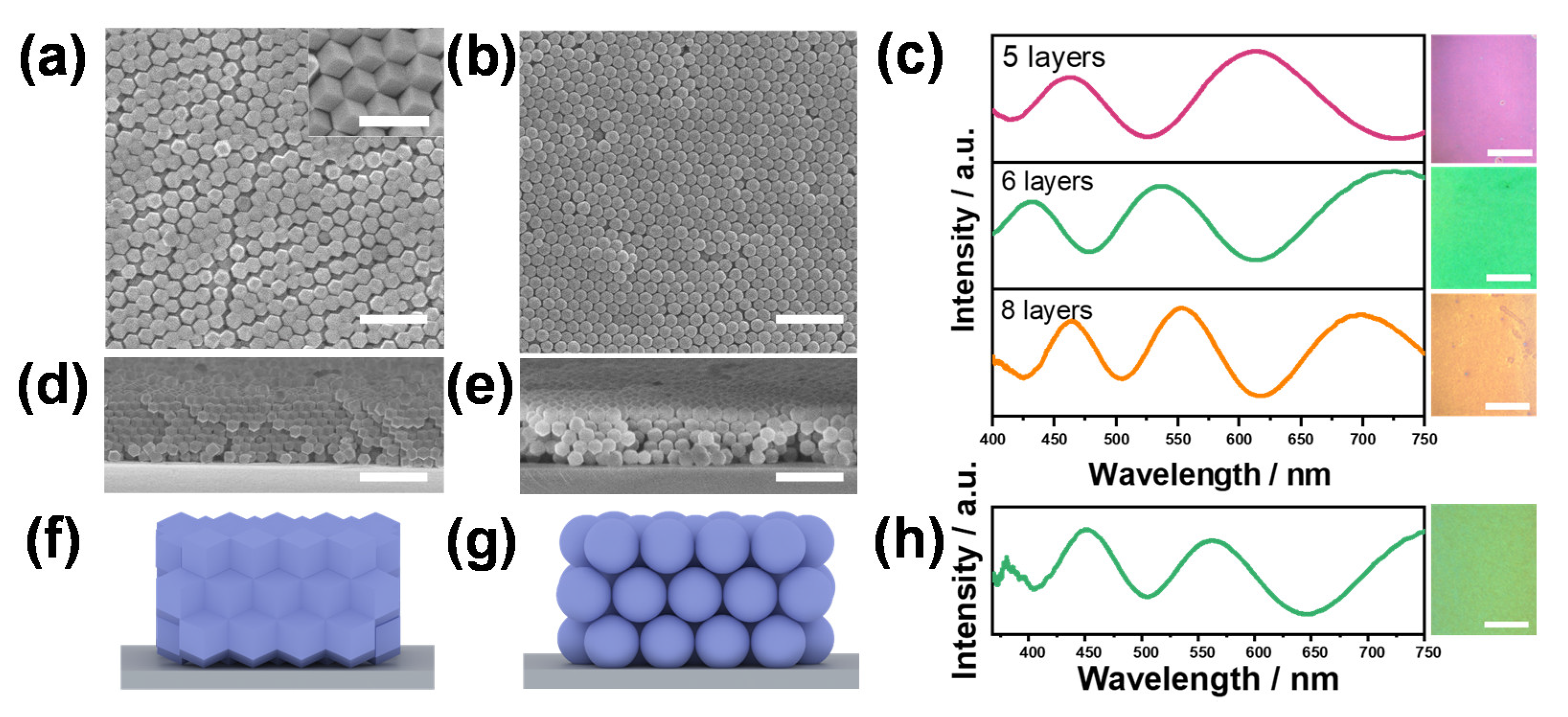 Nanomaterials 13 02733 g003