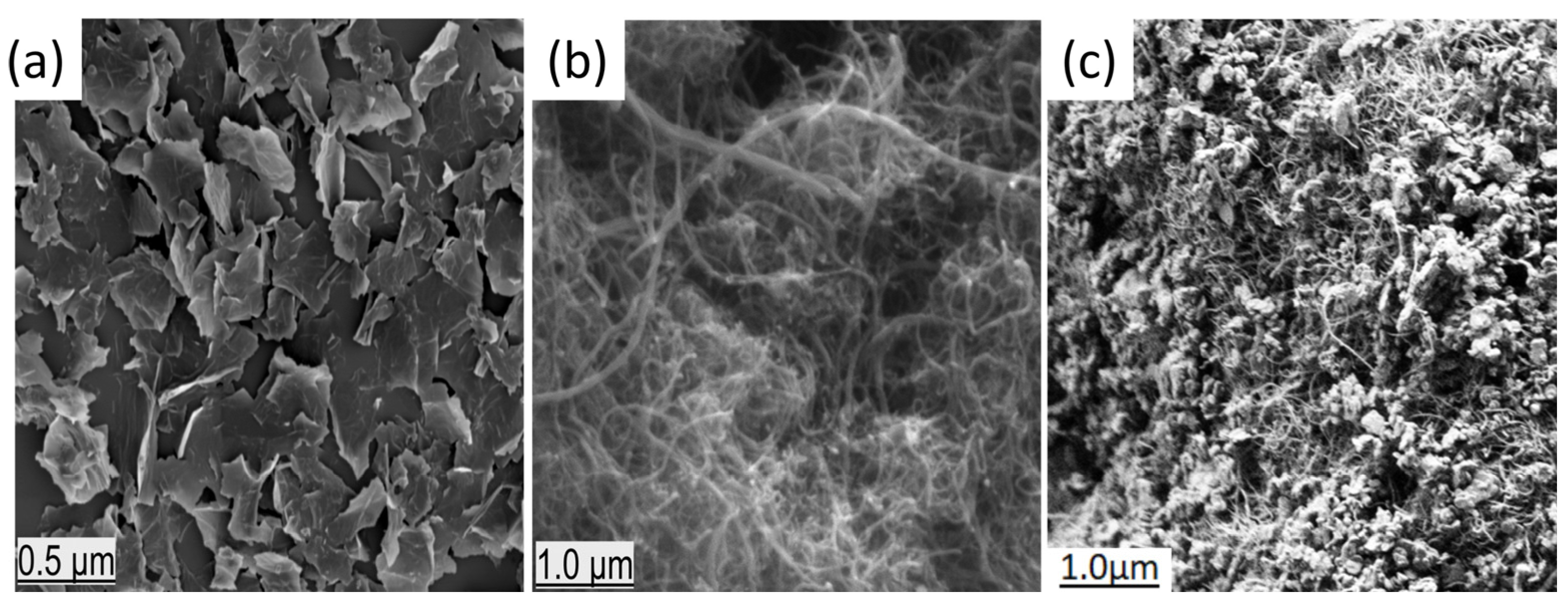 Nanomaterials 13 02739 g001