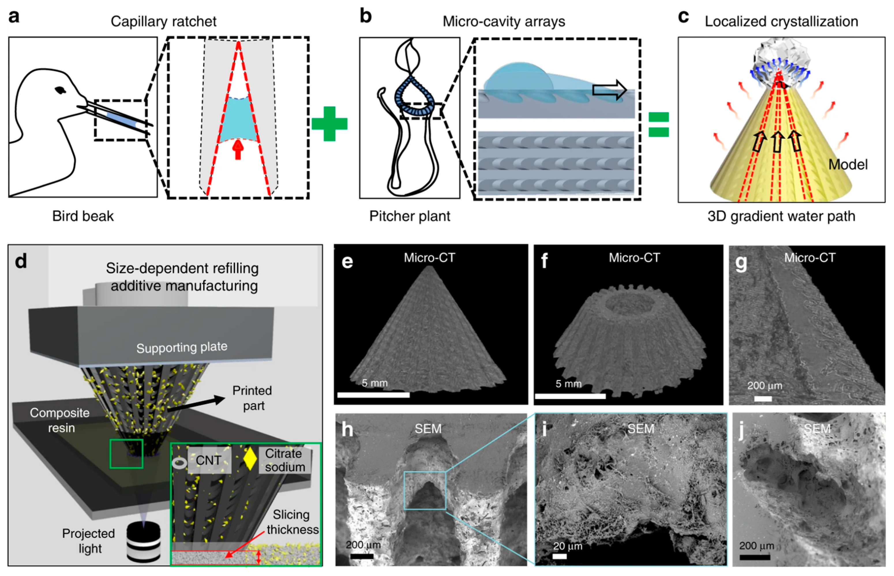 Nanomaterials 13 02741 g013