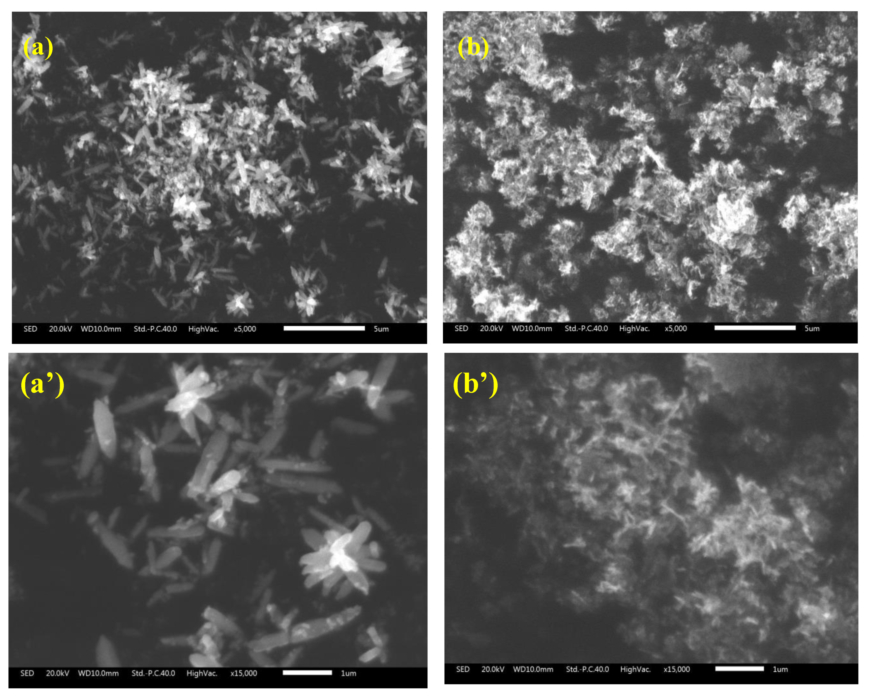 Nanomaterials 13 02742 g002