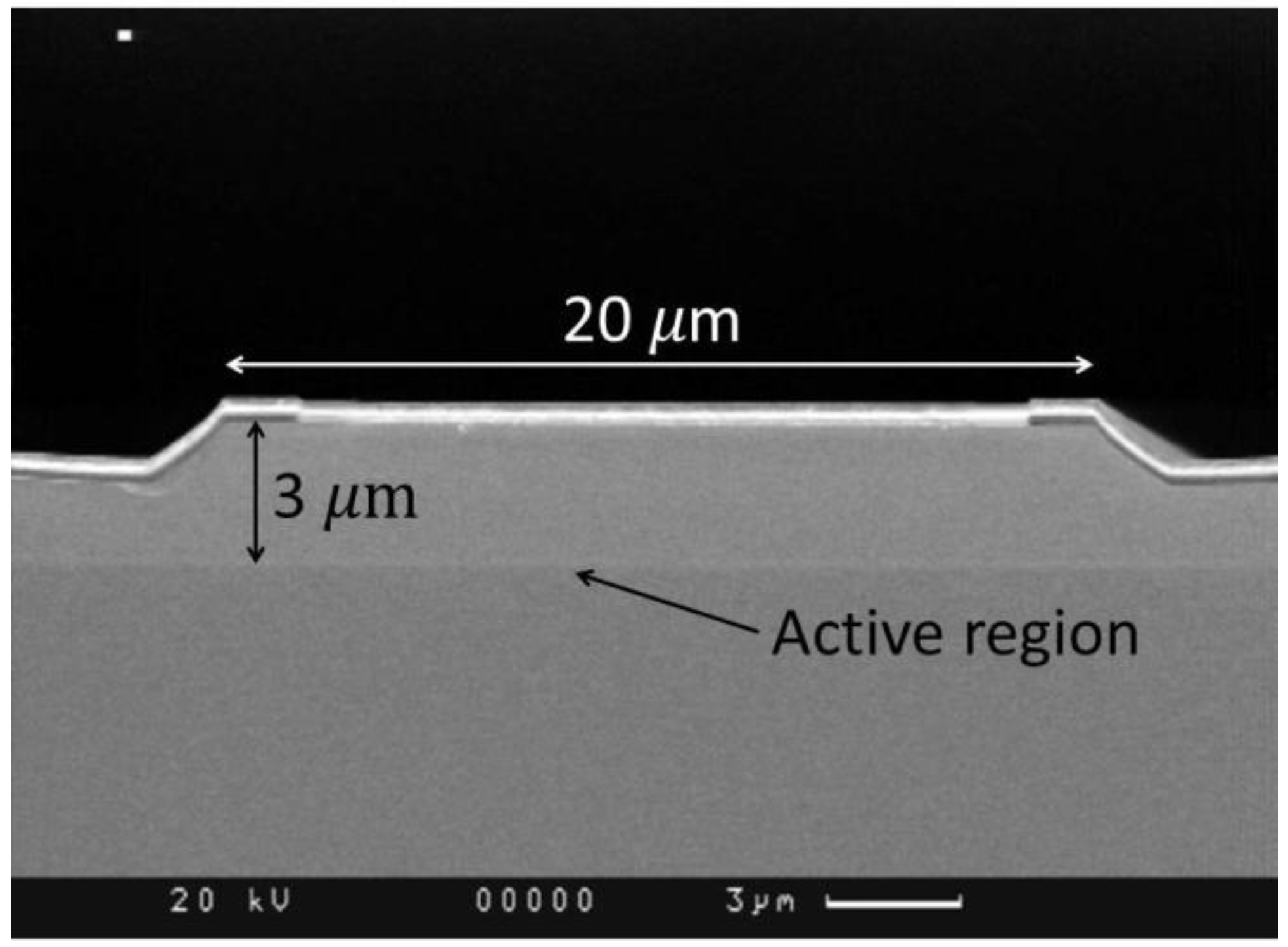 Nanomaterials 13 02746 g001