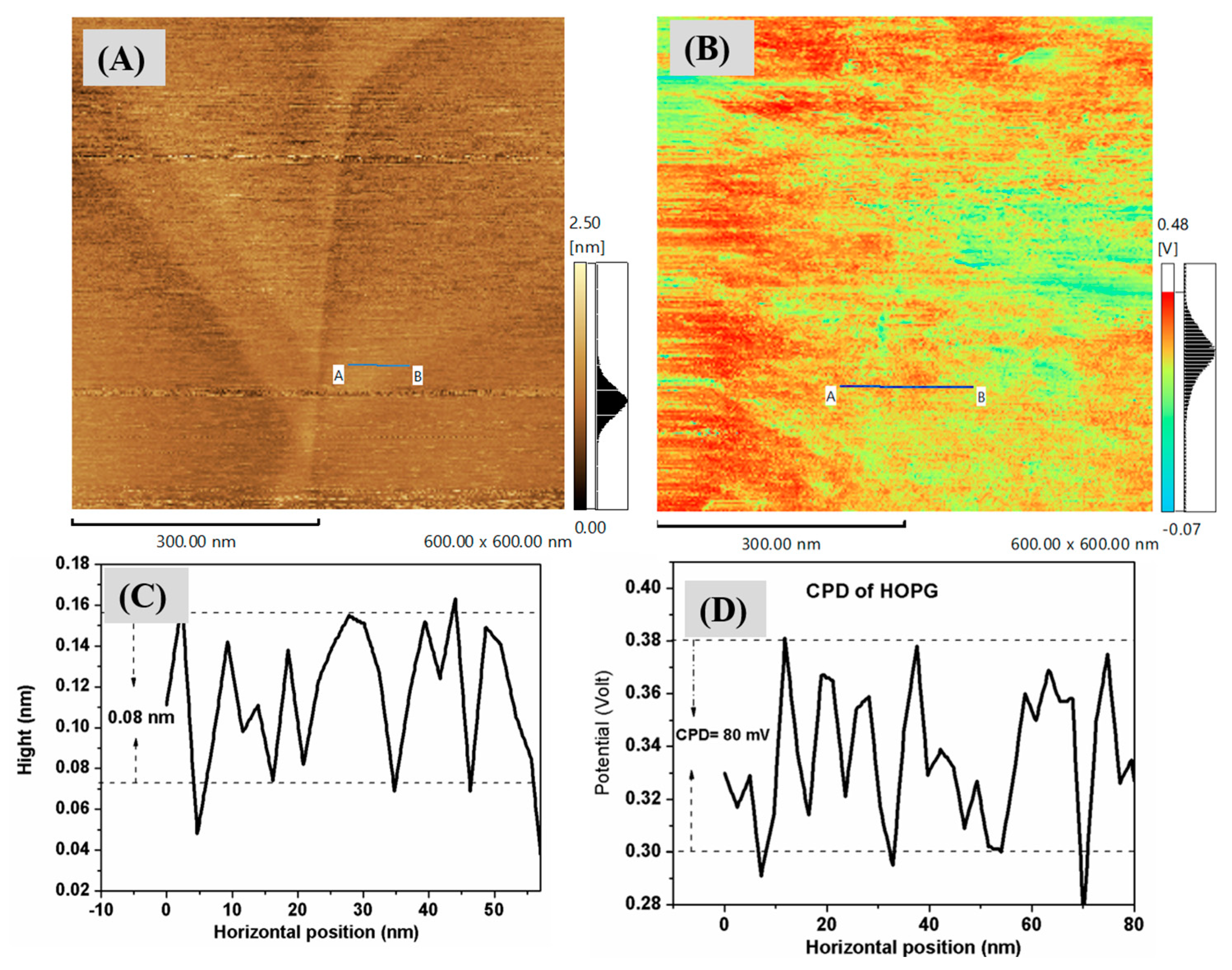 Nanomaterials 13 02758 g006