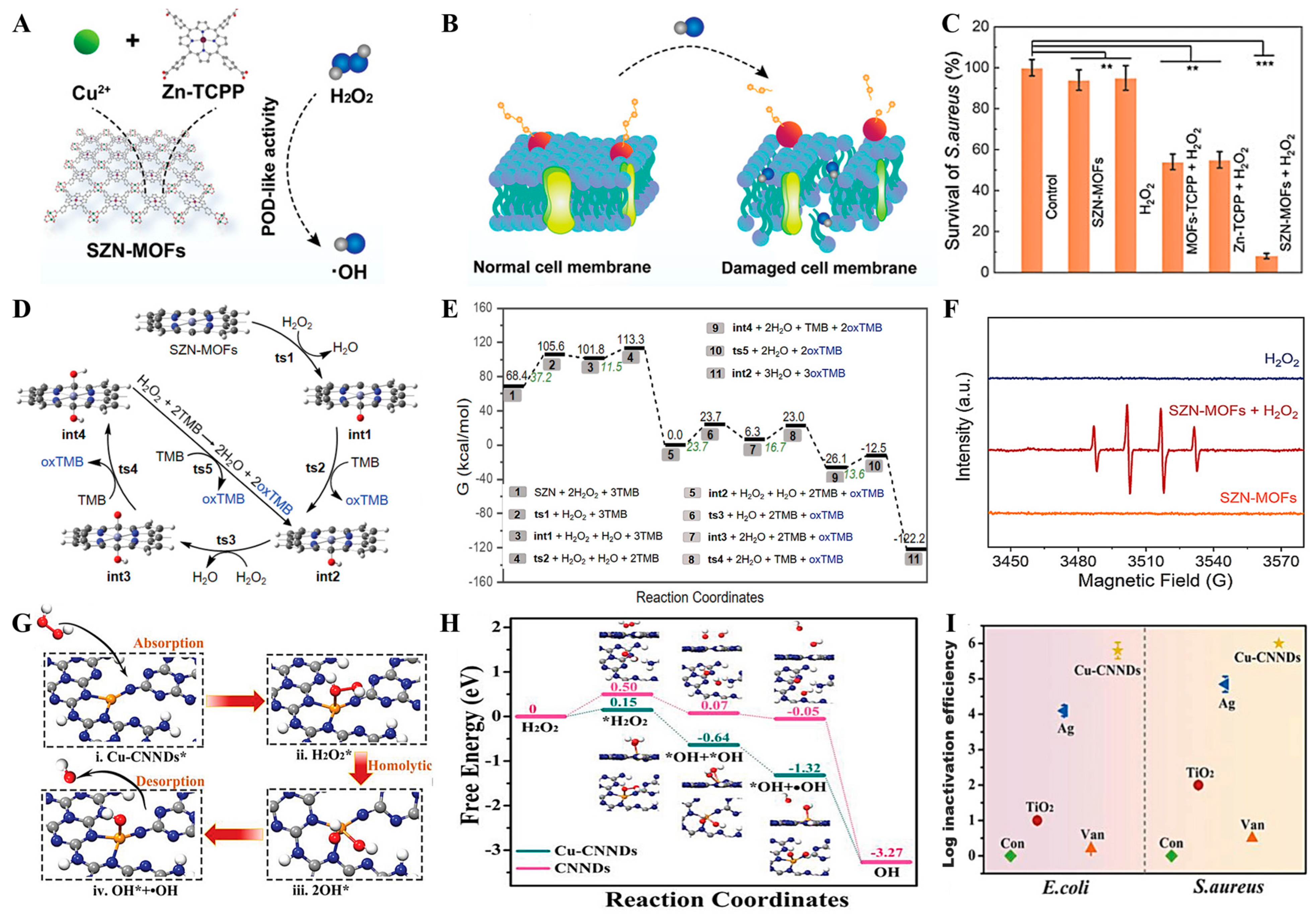 Nanomaterials 13 02760 g003